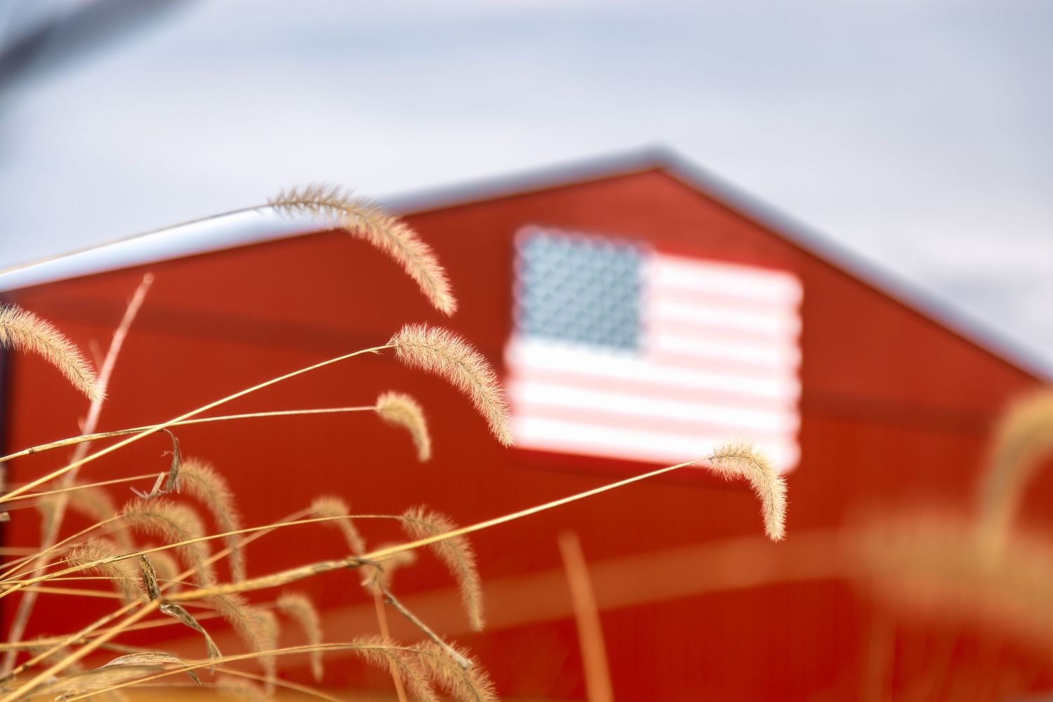 American flag visible on a red barn through golden wheat stalks in soft focus.
