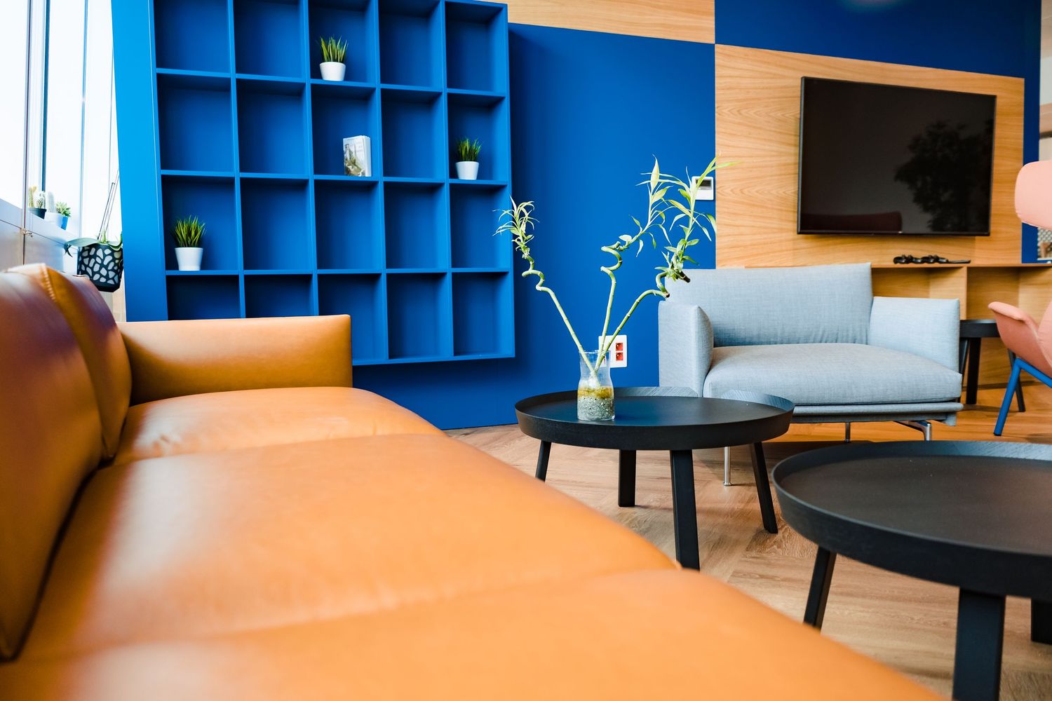 Modern office lounge with a tan leather sofa, round black coffee tables, a gray armchair and blue wall shelves holding small plants.