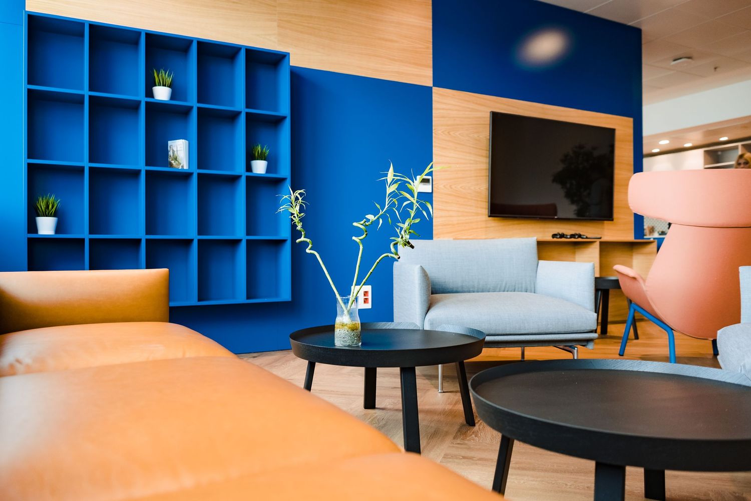 Stylish breakout area with orange leather seating, black coffee tables, a wall-mounted TV and blue shelving decorated with green plants.