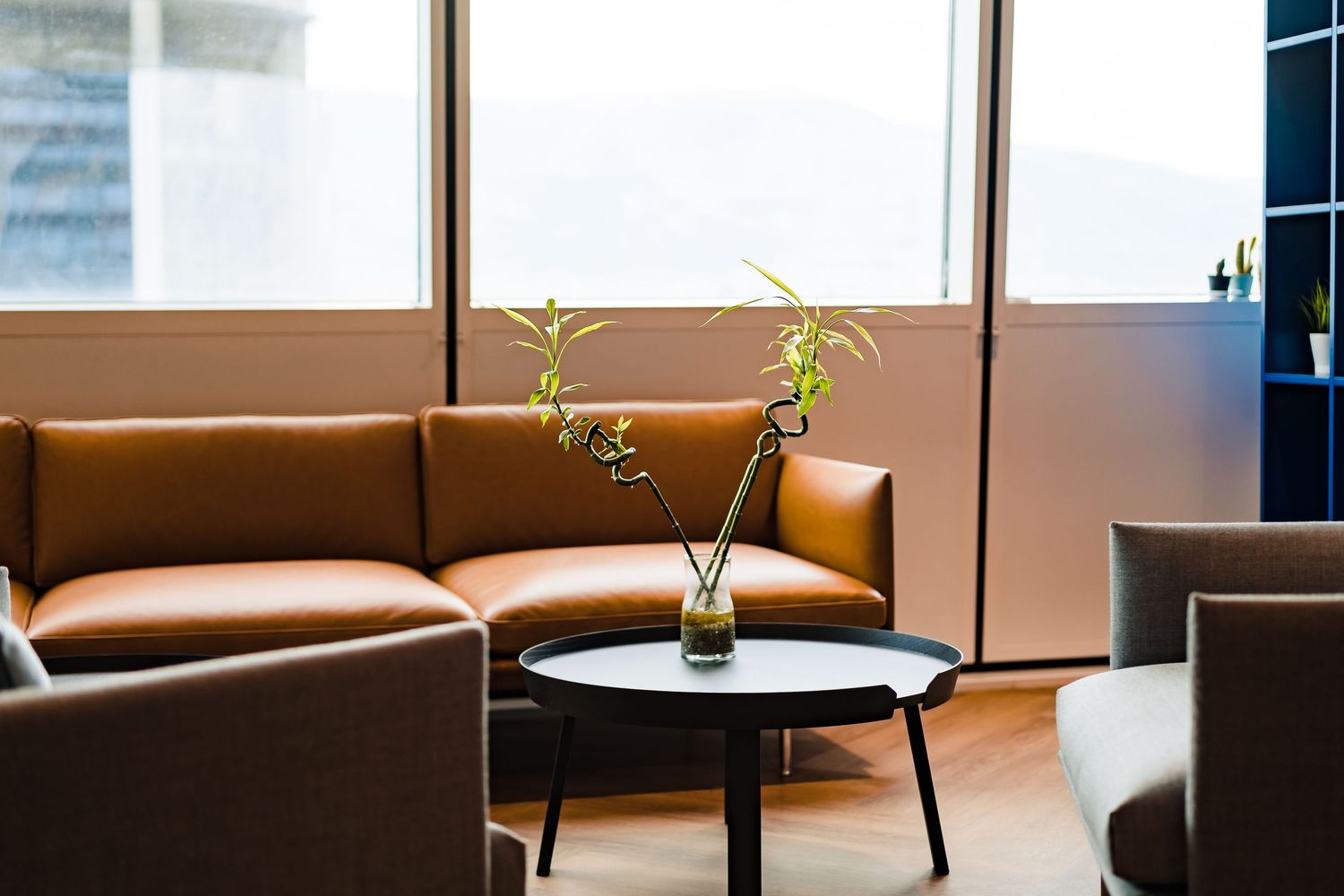 Sunlit office lounge with tan leather sofas, a black round table and a glass vase holding a green plant beside large windows.