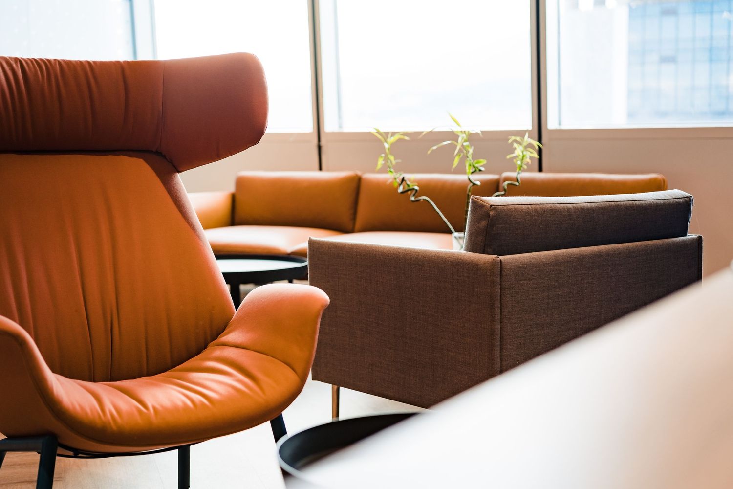 Close view of an orange leather armchair and a brown sofa in a sunny office lounge with a green plant by the windows.