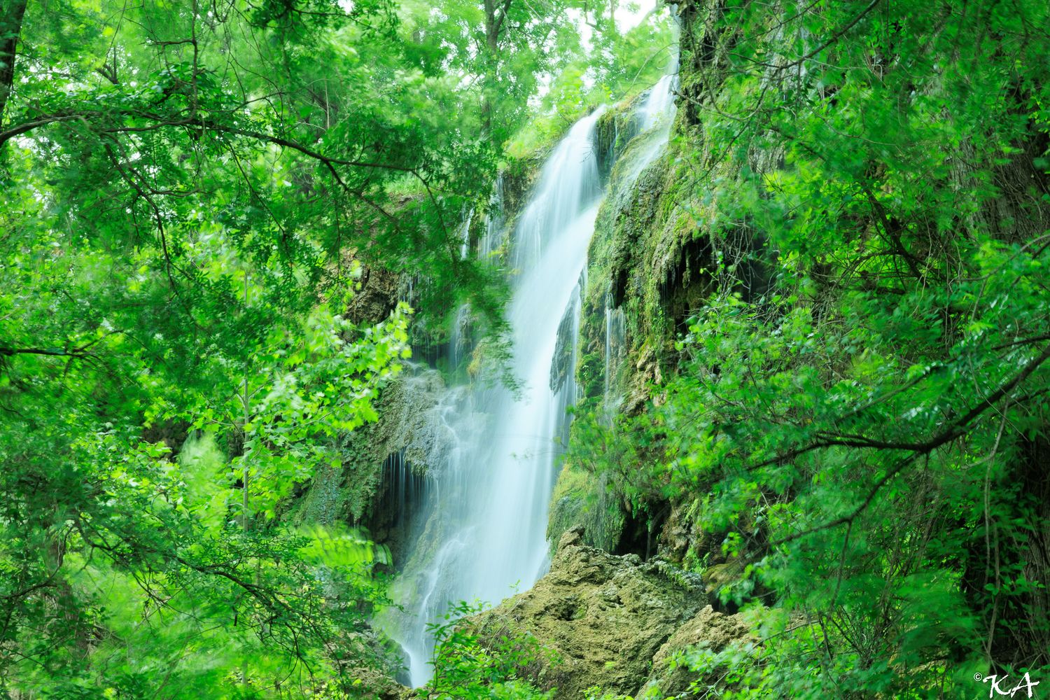 A stunning waterfall cascades through lush green forest trees over rocky terrain in a serene natural landscape.