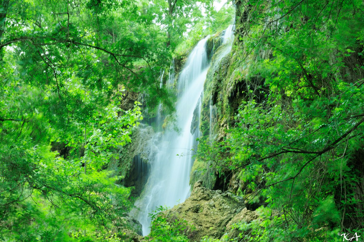 A stunning waterfall cascades down rocky cliffs surrounded by lush green forest trees in a serene natural landscape.