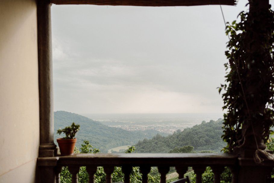 dettaglio fotografico della vista sulle vigne di Tenuta Frizzoni a Bergamo