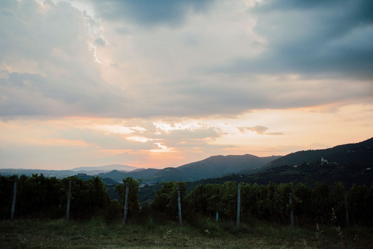 vista carlo magno sulle vigne al tramonto