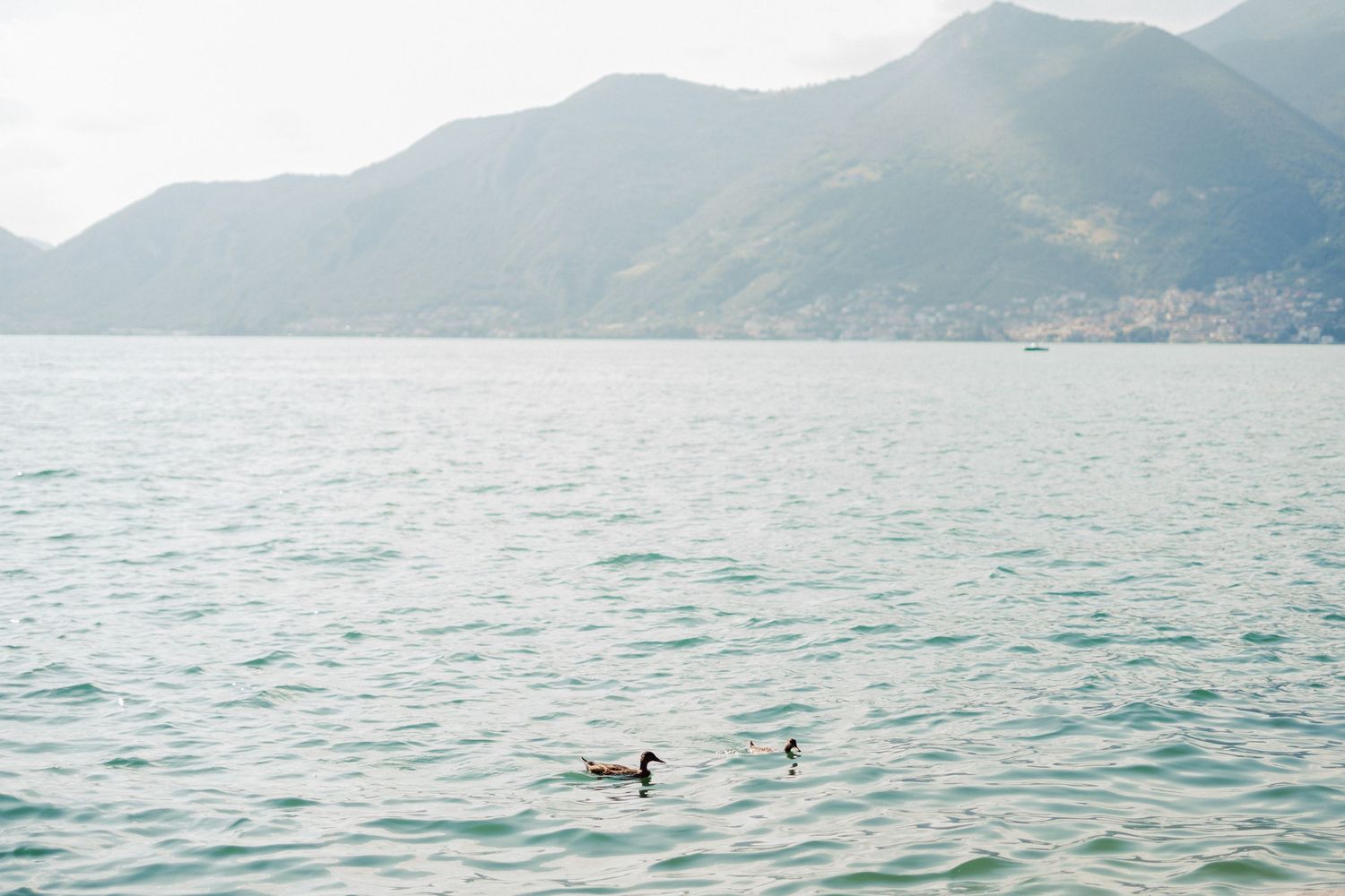 dettaglio lago d'Iseo