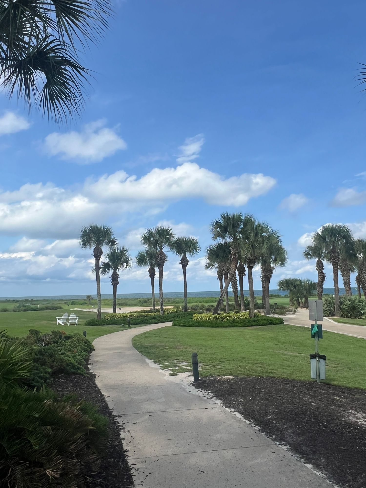 Scenic coastal park with tall palm trees lining a curved pathway overlooking a serene waterway under a partly cloudy sky.