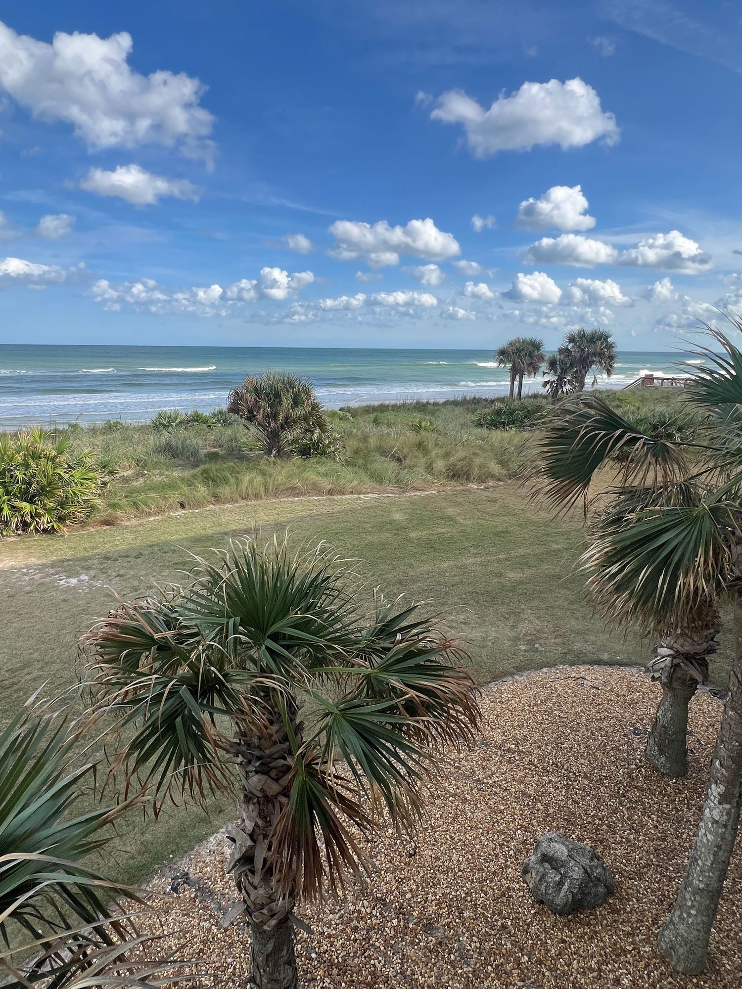 Tropical beach view with palm trees, green lawn, sandy shore, and blue ocean under partly cloudy skies in Florida.