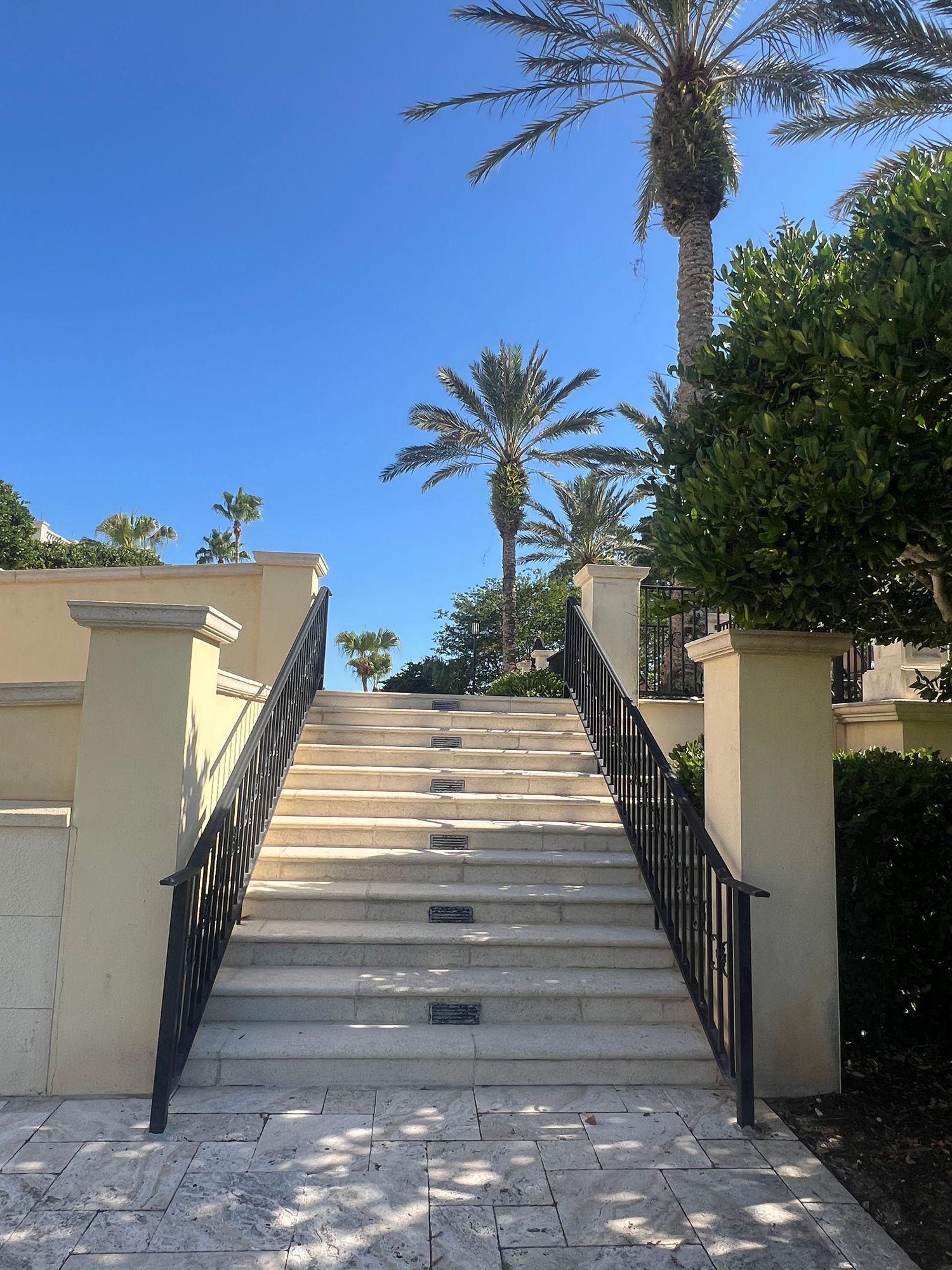 Grand staircase with black iron railings flanked by tall palm trees and lush greenery under a clear blue sky.
