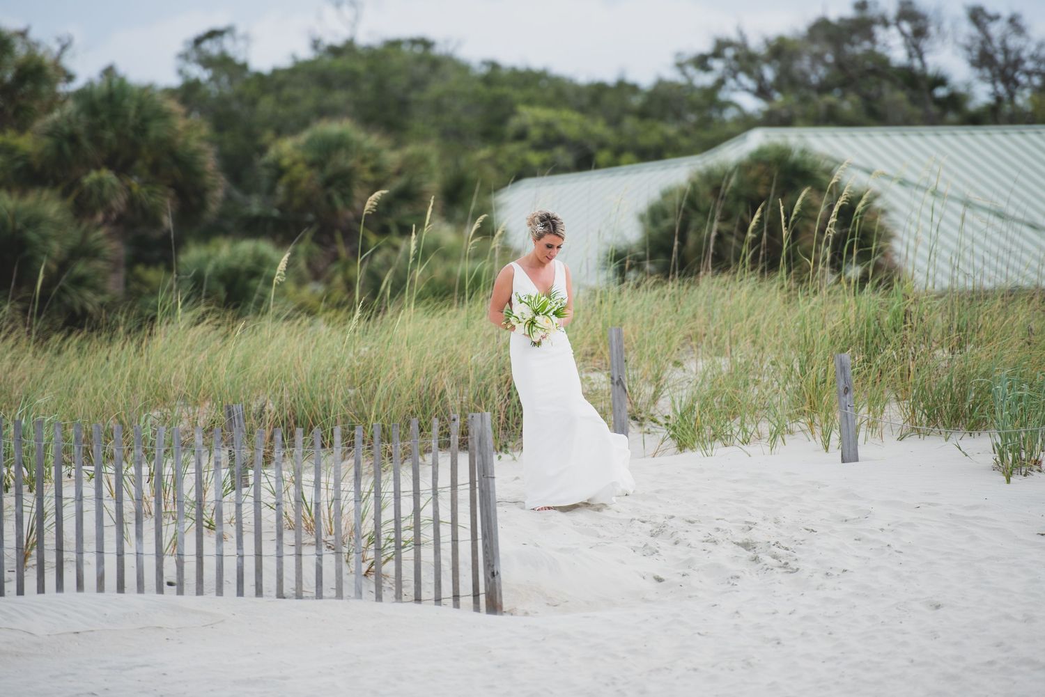 Hilton Head Beach wedding setting with wooden fence and sea oats along sandy dunes.