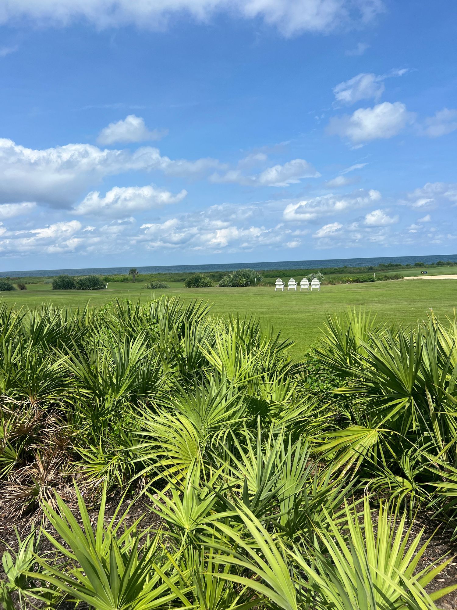 Lush green sabal palm shrubs in foreground with expansive Florida prairie and white farm buildings under blue sky.