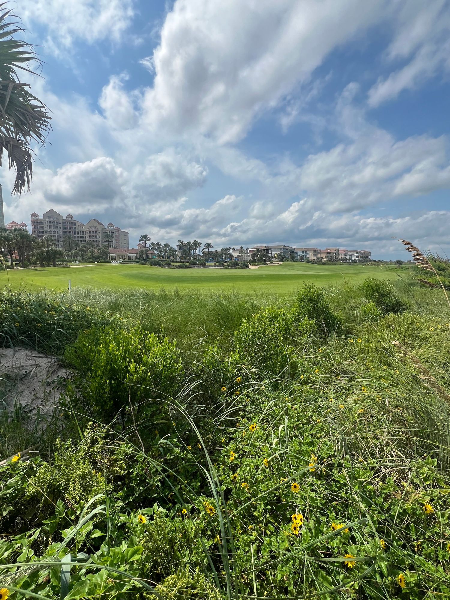 Lush green golf course with tropical vegetation, palm trees, and resort buildings under a dramatic cloudy sky.