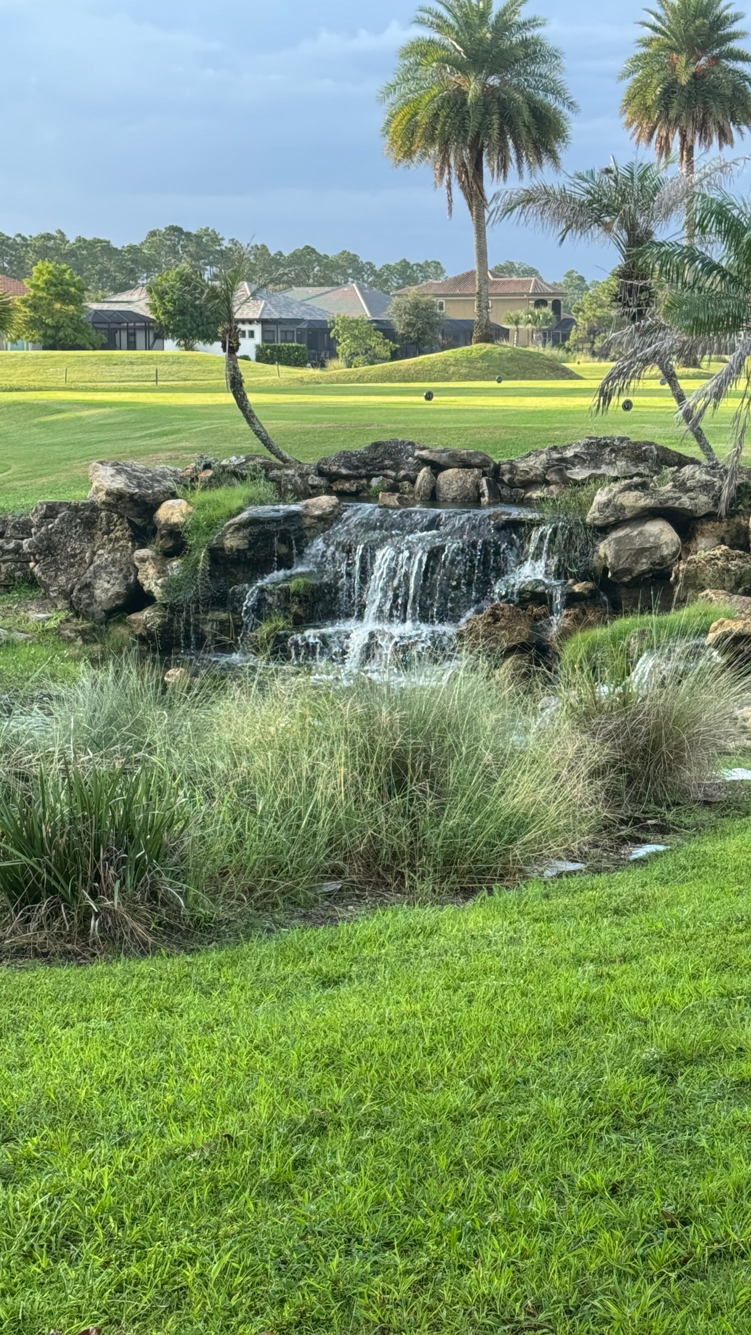 A scenic waterfall feature with rocks and lush greenery on a manicured golf course with palm trees in Florida.