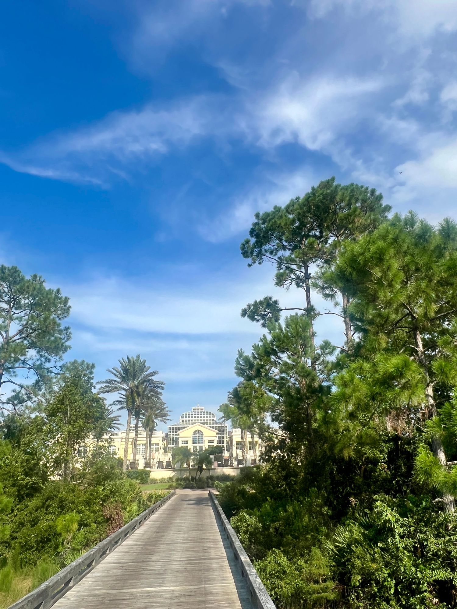 A wooden boardwalk path leads through lush green trees toward a yellow building under a bright blue sky.