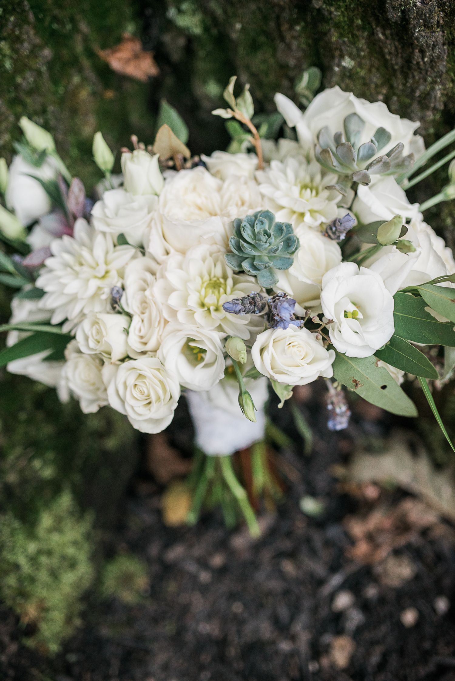 Elegant white floral arrangement with roses, succulents and delicate greenery against a dark background.