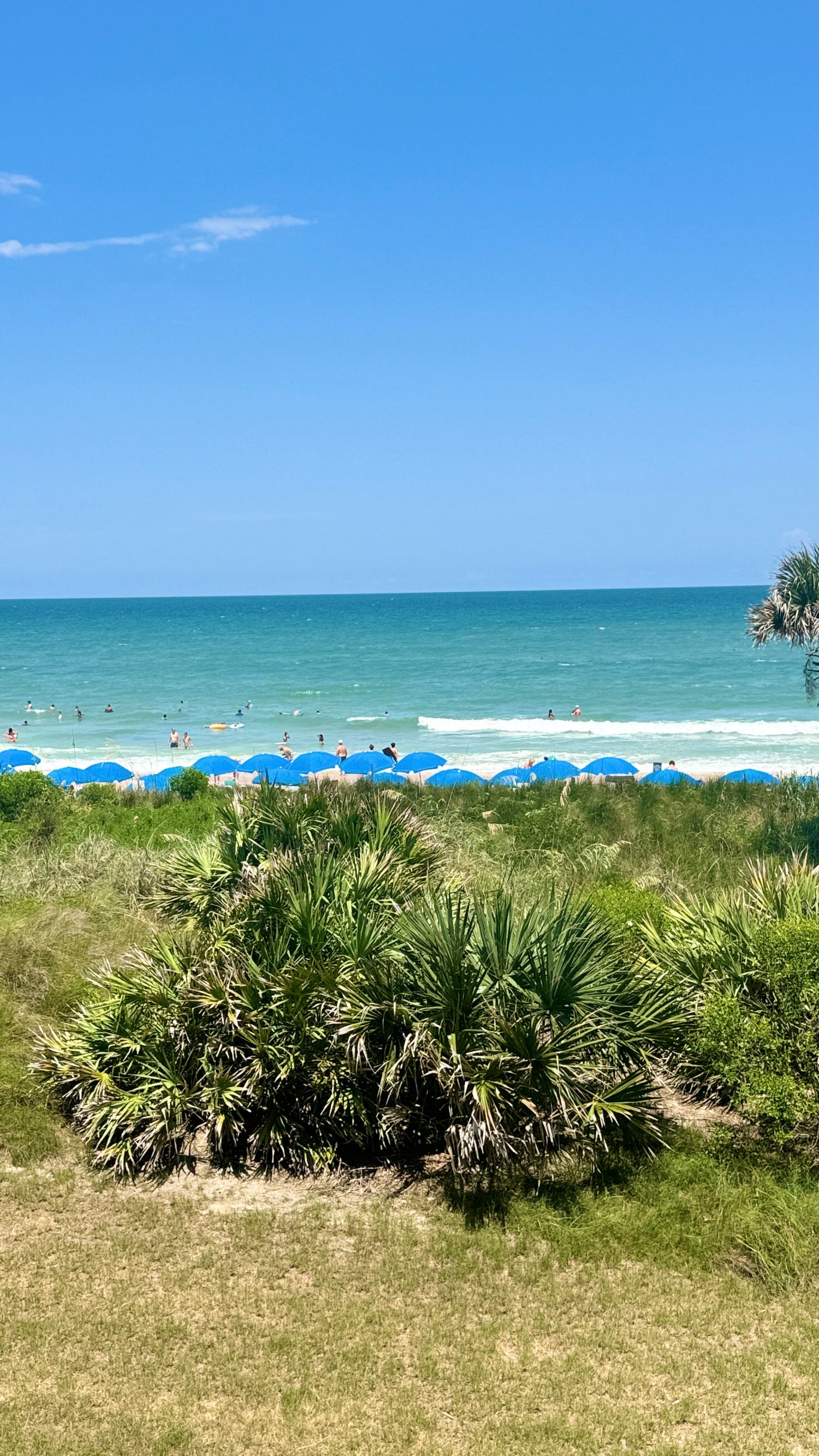 Tropical beach scene with blue umbrellas, turquoise ocean waves, palm shrubs, and clear blue sky on a sunny day.