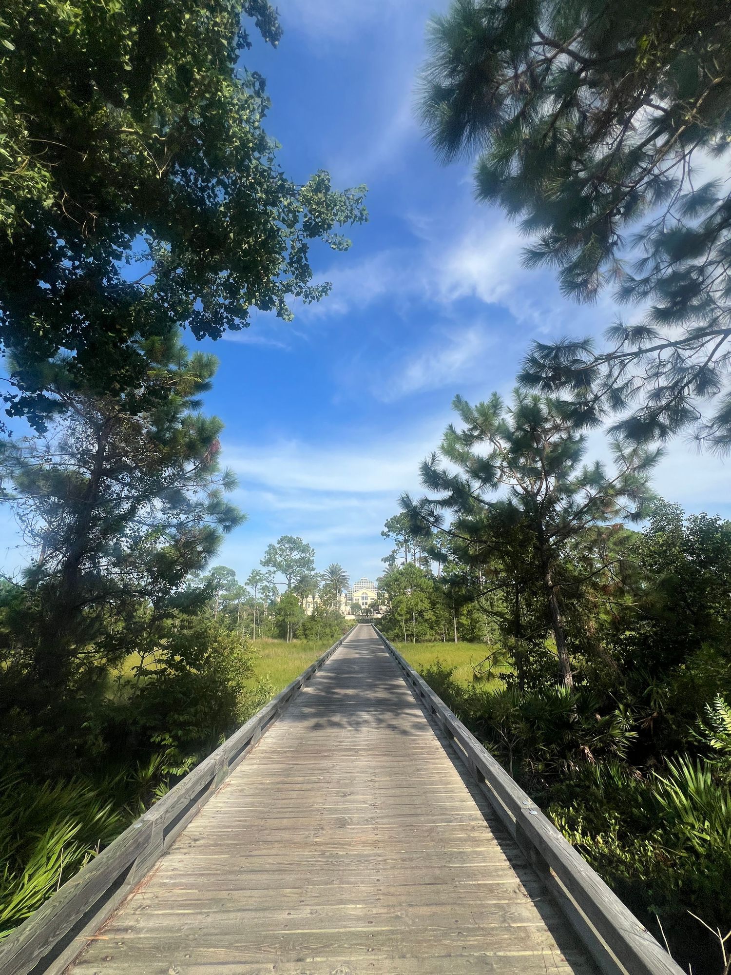 Wooden boardwalk path through lush green trees leading to open field under blue sky.