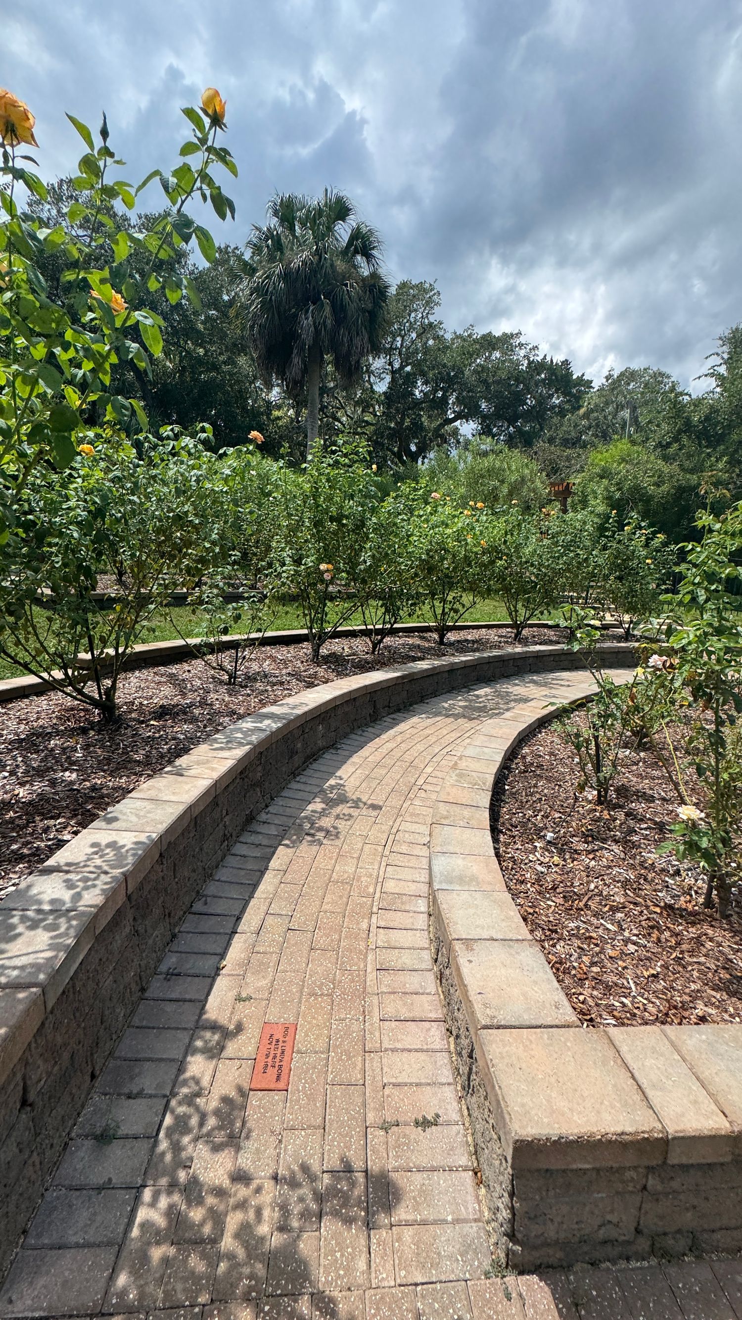Curved brick pathway winds through a lush rose garden with mulched beds, green shrubs, and tall palm trees under cloudy skies.