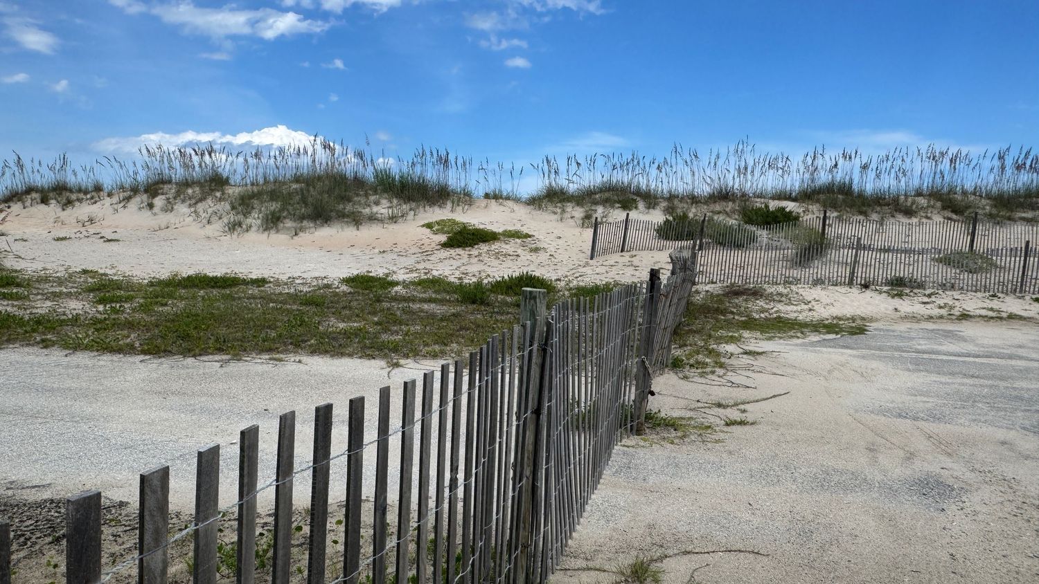 Sandy beach dunes with wooden snow fence under blue sky with white clouds on a sunny day.