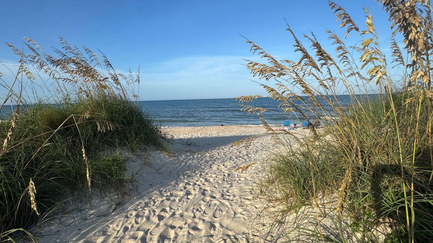 Sandy beach path lined with sea oats leading to calm blue ocean waters under a clear sunny sky.