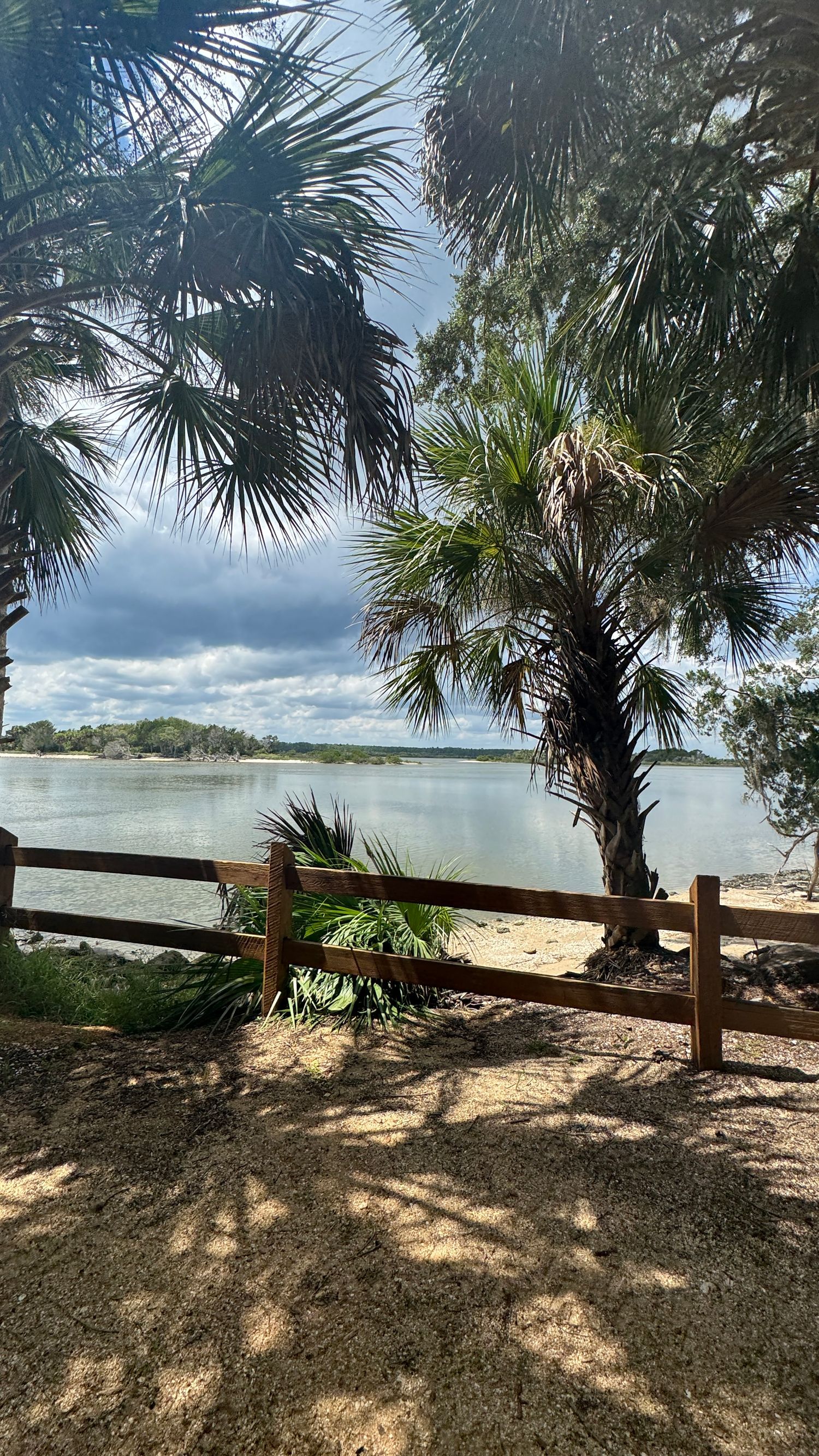 Scenic waterfront view with palm trees and a wooden fence along a sandy shore under a partly cloudy sky.