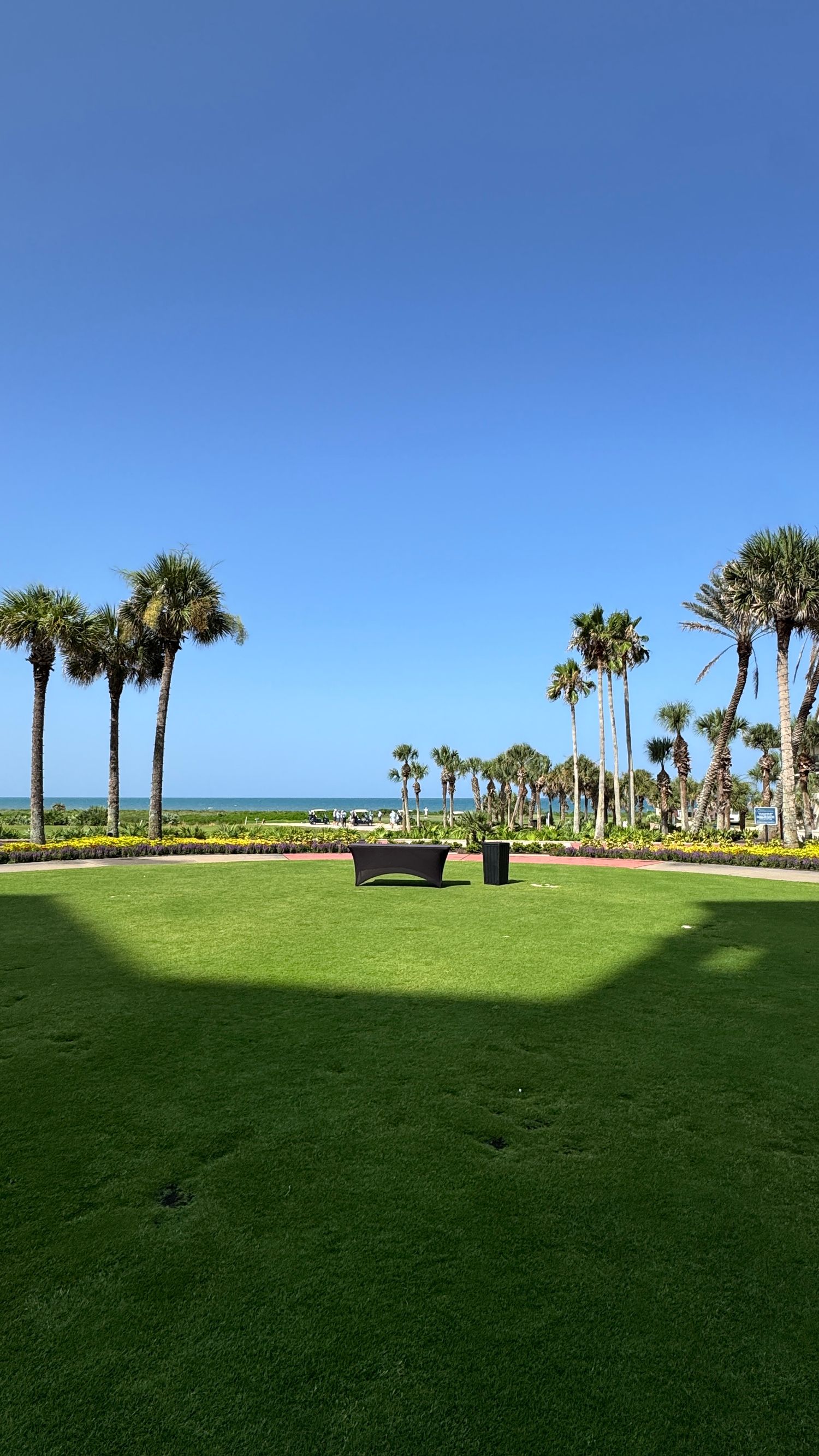 Lush green lawn with palm trees framing a serene ocean view under a clear blue sky at a tropical resort.