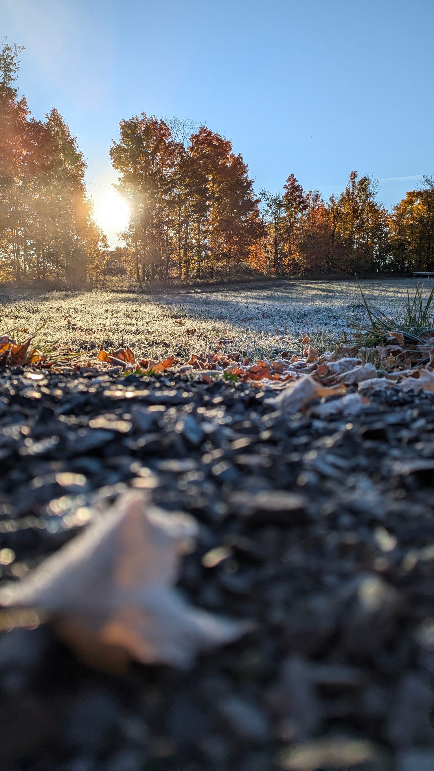 sunrise in the fall with maple leaf | Tweed Ontario | Yesterday's Focus
