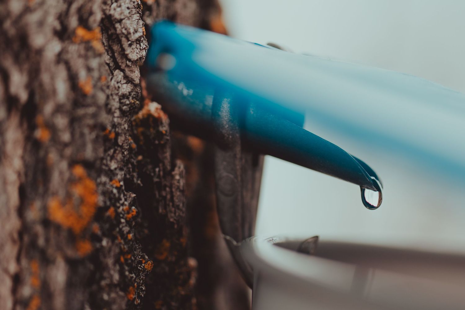 dripping maple syrup spile | Madoc, Ontario | Yesterday's Focus Photography