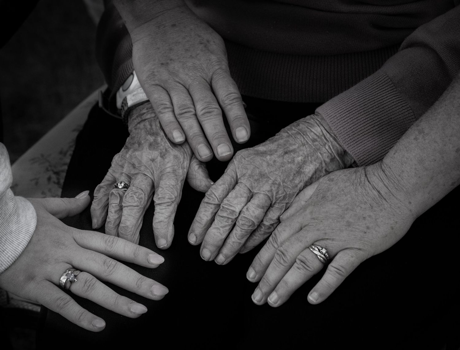 4 generation of hands in black and white during family session in Madoc Ontario _ Yesterday's Focus