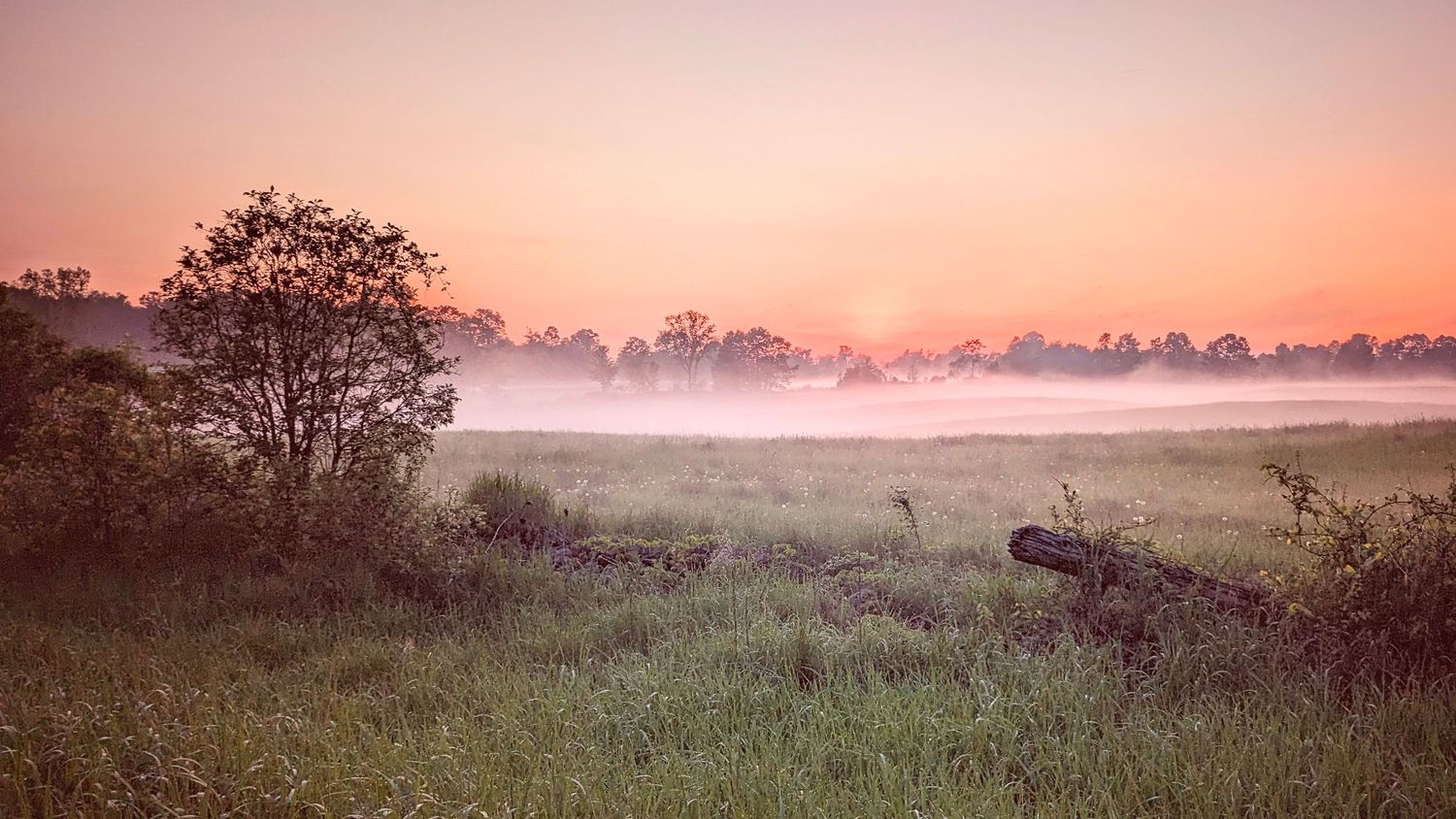 sunset glory with fog rolling through | Madoc Ontario | Yesterday's Focus