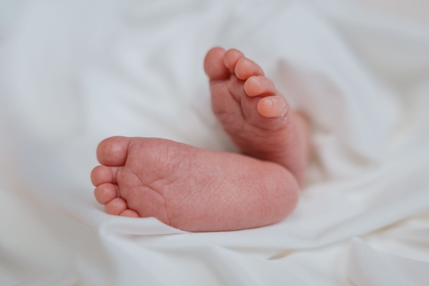 newborn feet detail shot during newborn session in Havelock Ontario | Yesterday's Focus