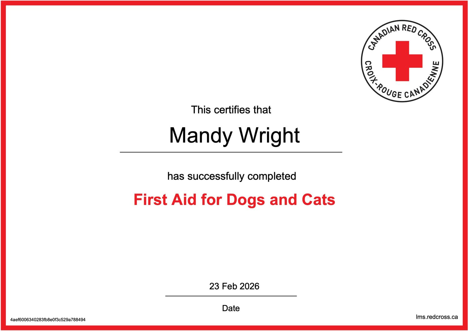 first aid certificate for dogs and cats, Madoc Ontario | Yesterday's Focus by Mandy Wright