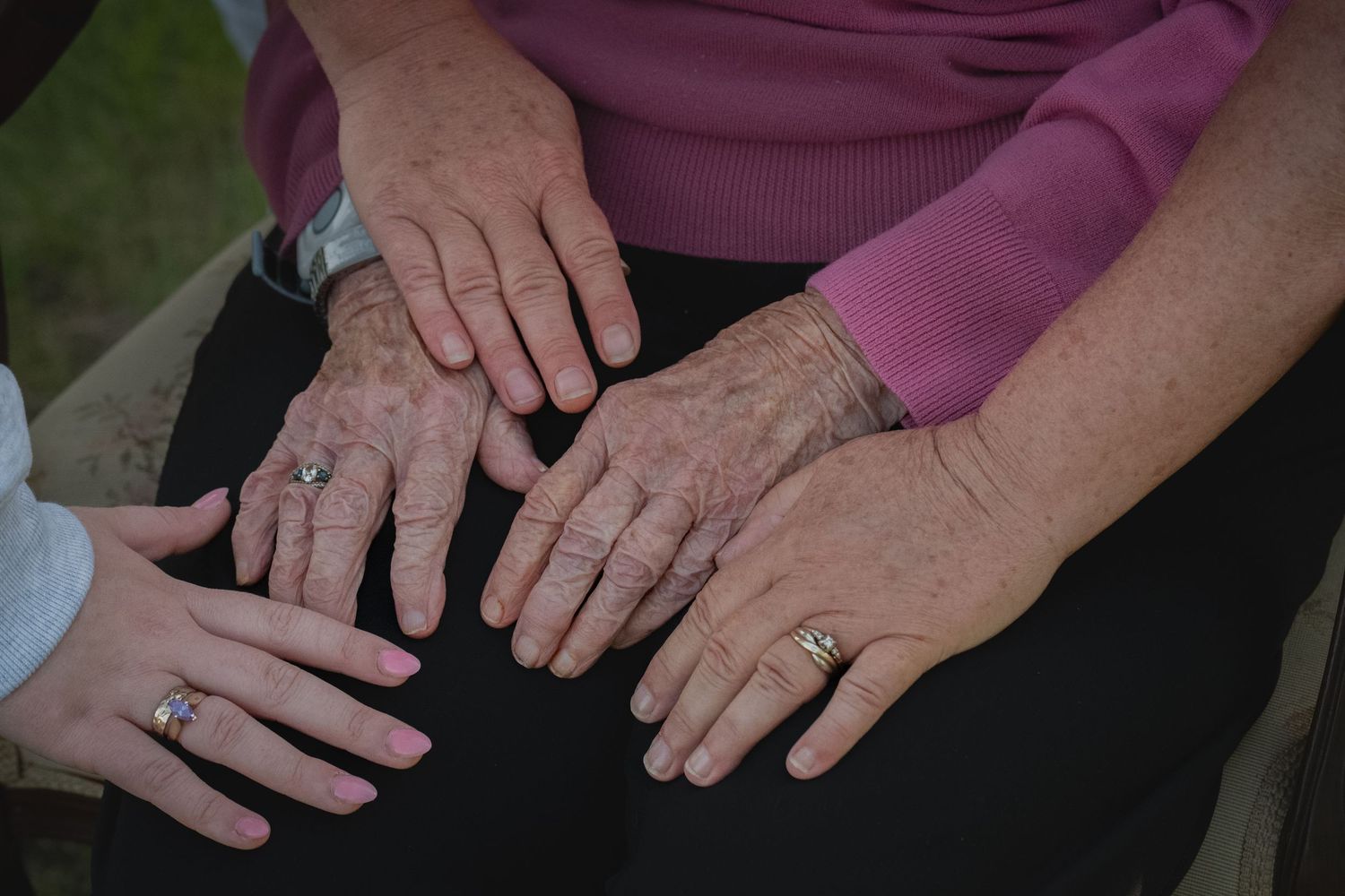 hands of 4 generations from family session in Tweed Ontario | Yesterday's Focus