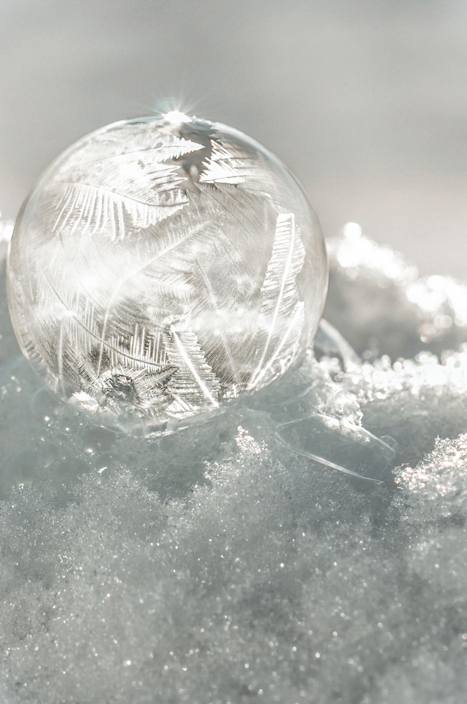 frozen bubble macro photo | Tweed Ontario | Yesterday's Focus