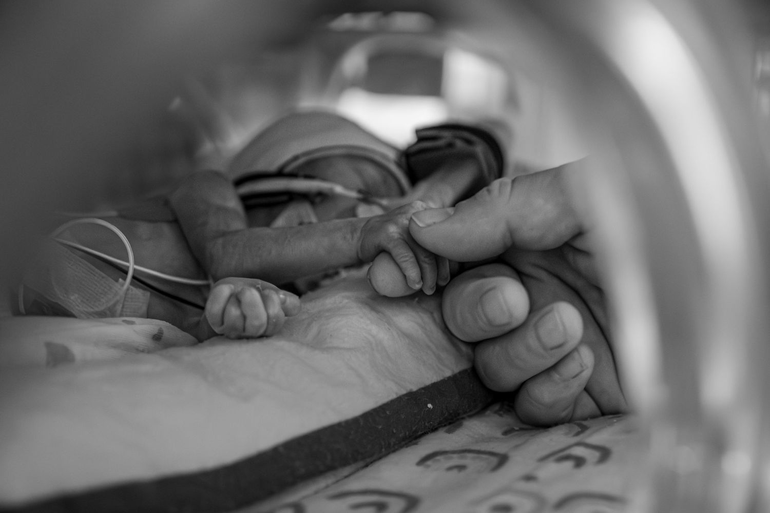 nicu baby with daddy hand in black and white during fresh 48 session in Kingston, Ontario | Yesterday's Focus