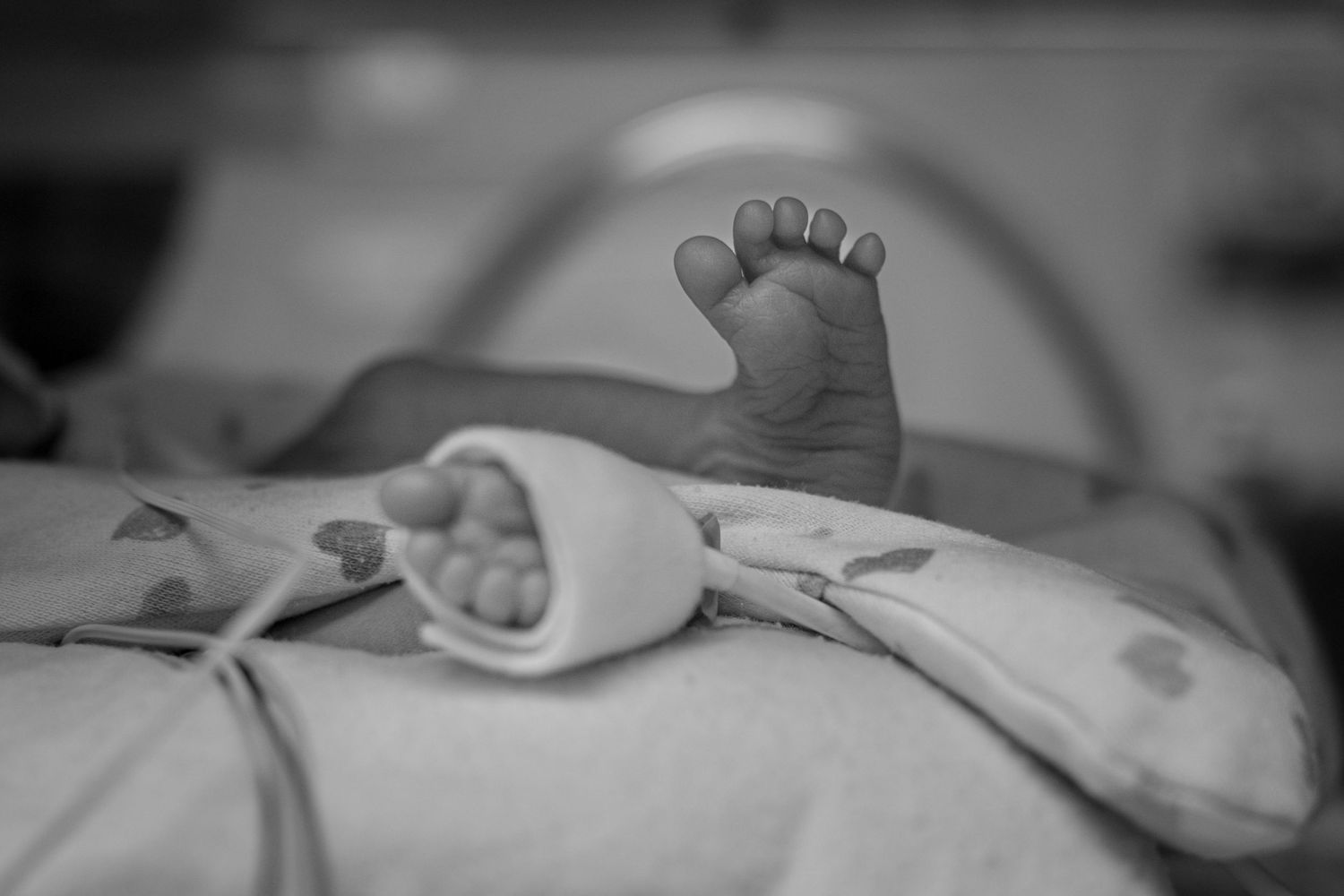nicu baby feet in black and white during fresh 48 session in Kingston, Ontario | Yesterday's Focus