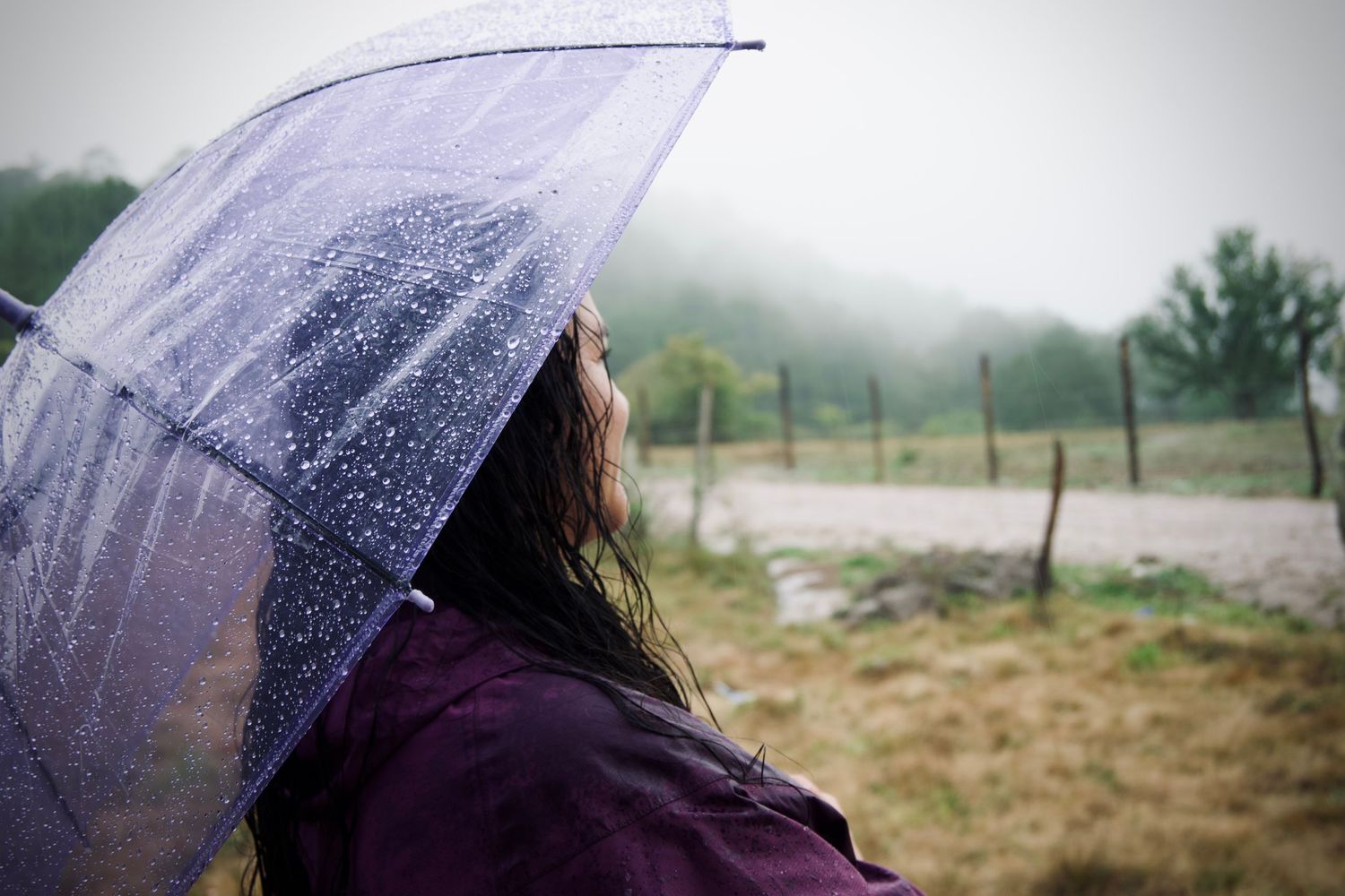 Retrato artístico tomado bajo la lluvia en Mayo en las afueras de Santiago Puringla, La Paz Honduras

By. Jeser Galo