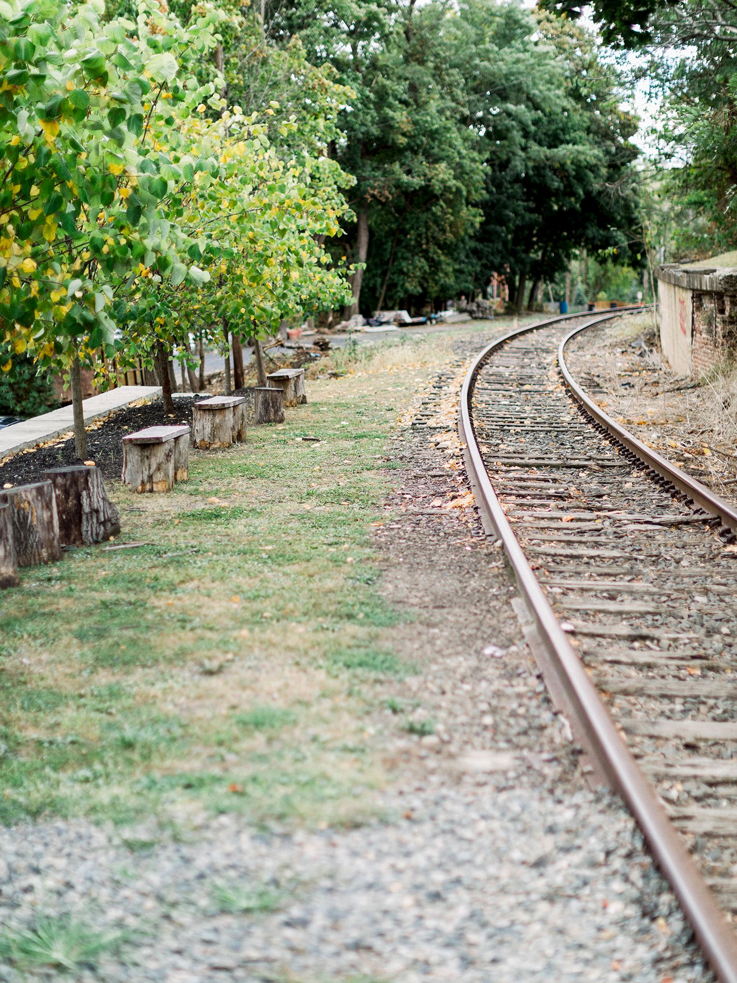 Abandoned railroad tracks winding through green overgrown vegetation.