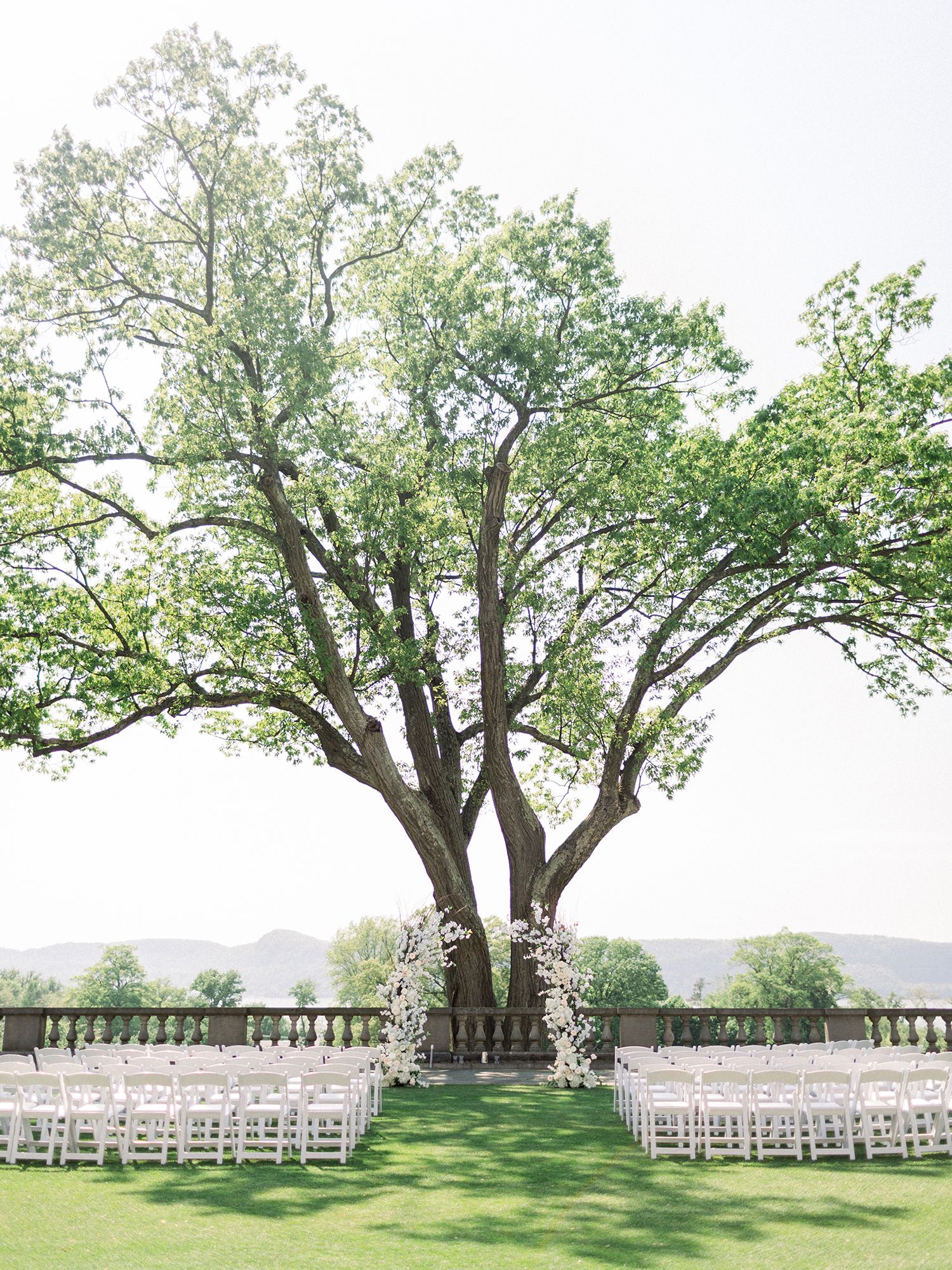 Outdoor wedding ceremony setup with white chairs facing majestic tree and stone balustrade.
