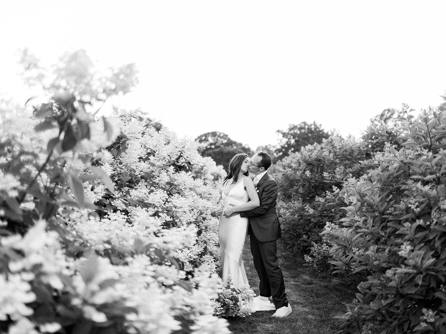 White flowers bloom in a lush garden setting creating a romantic wedding backdrop.