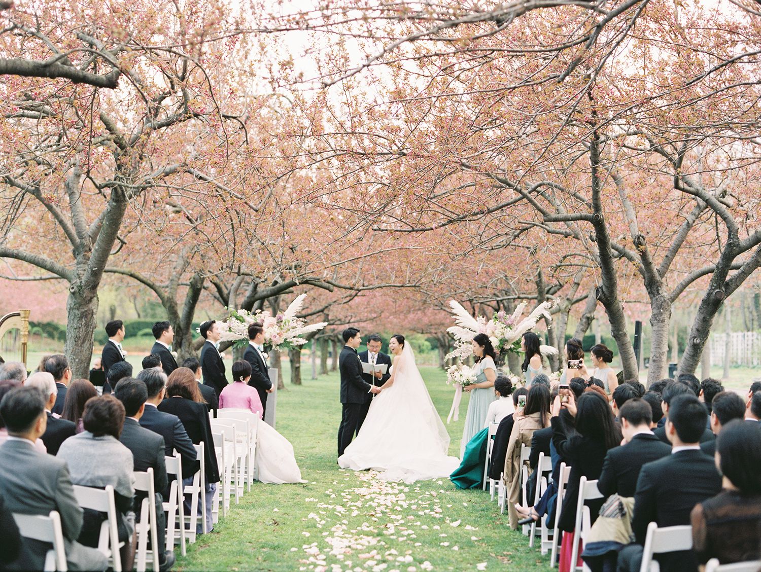 Guests seated in white chairs during an outdoor cherry blossom wedding ceremony.
