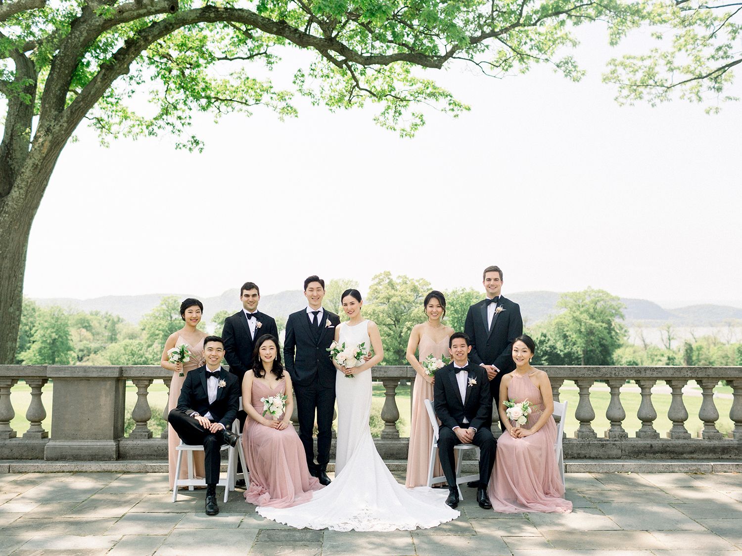 Wedding party lined up on stone terrace with bridesmaids in pink dresses against a scenic backdrop.