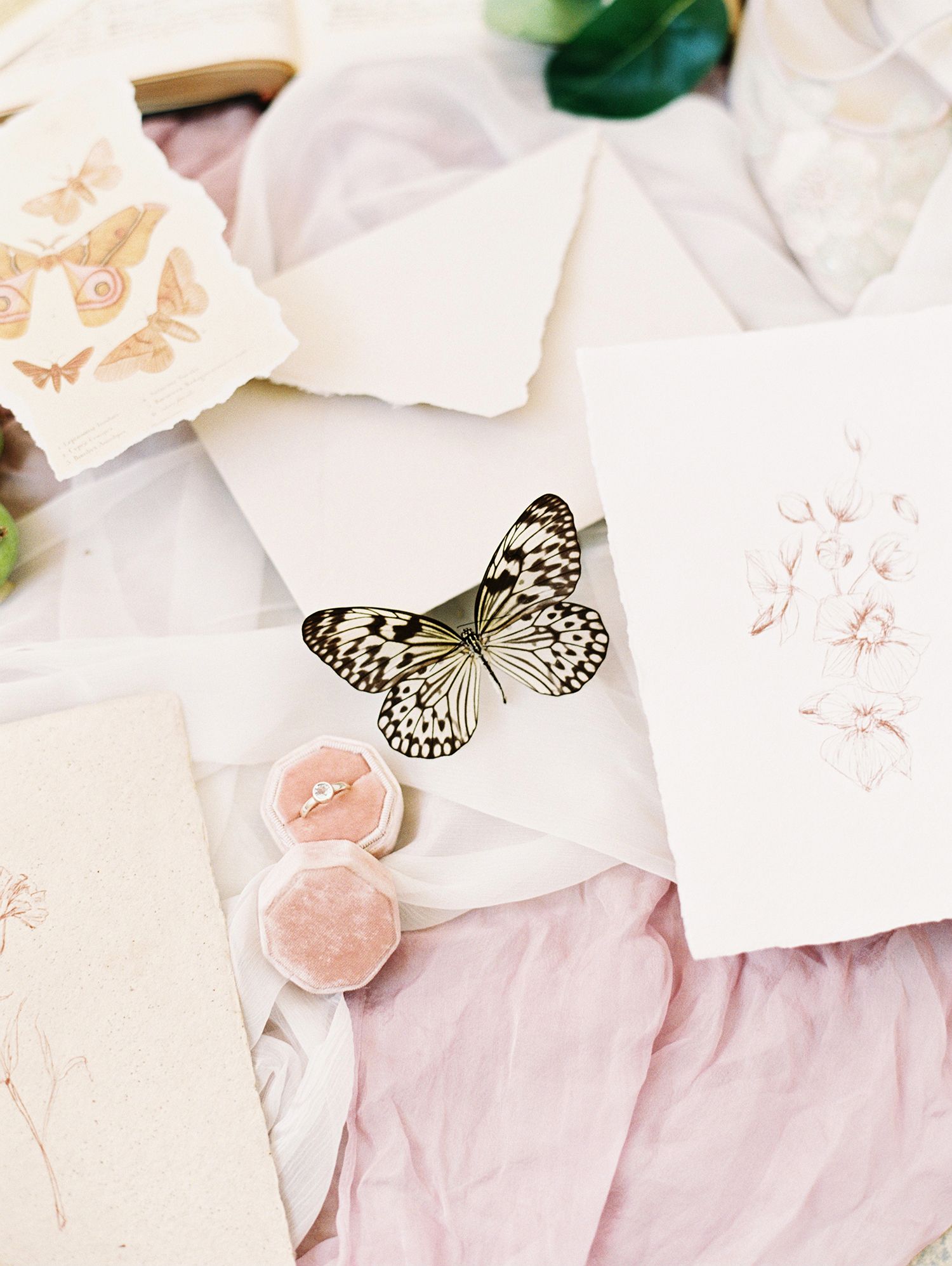 Vintage-style butterfly illustrations and pink crystals arranged on soft white fabric.