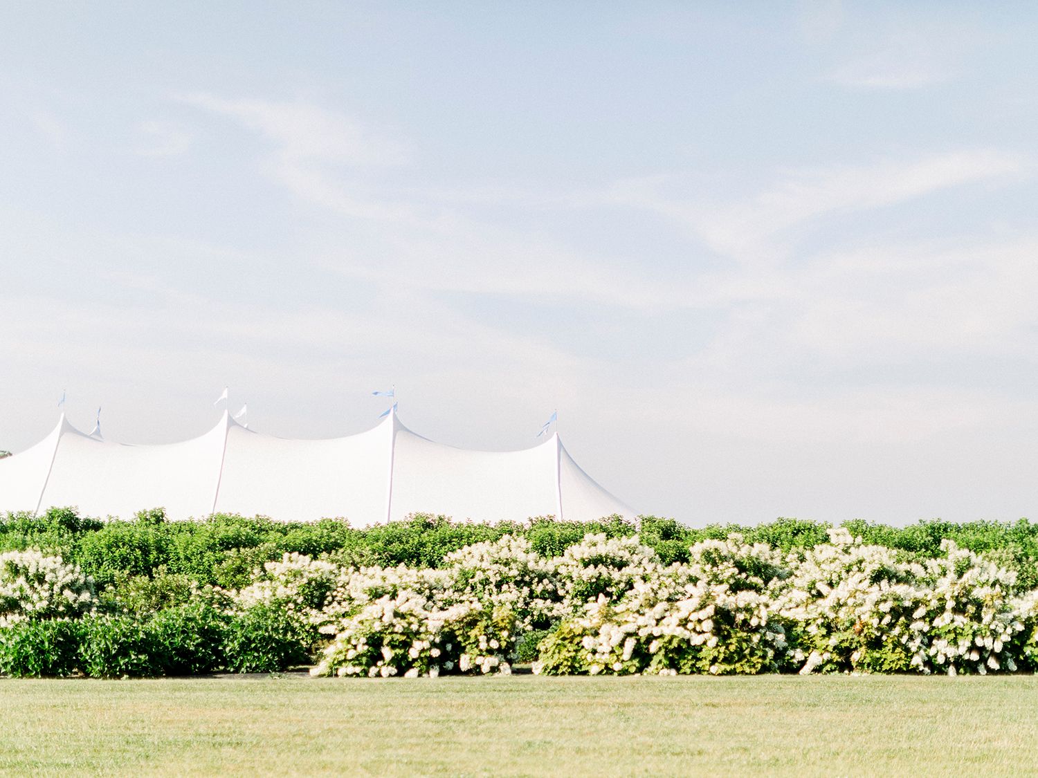 White wedding tent set up in field with flowering trees in background.