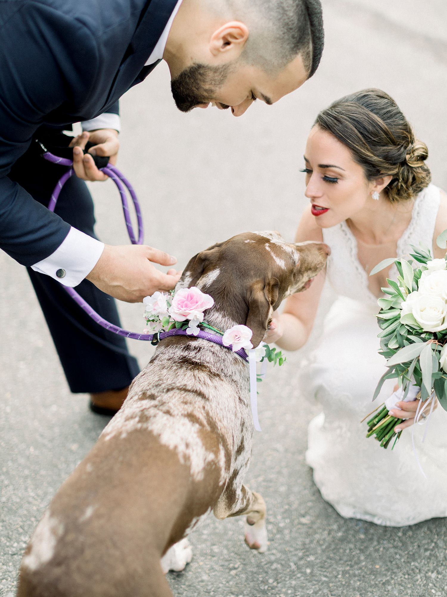 A brown and white dog wearing a pink flower collar joins a couple during their wedding photo session.