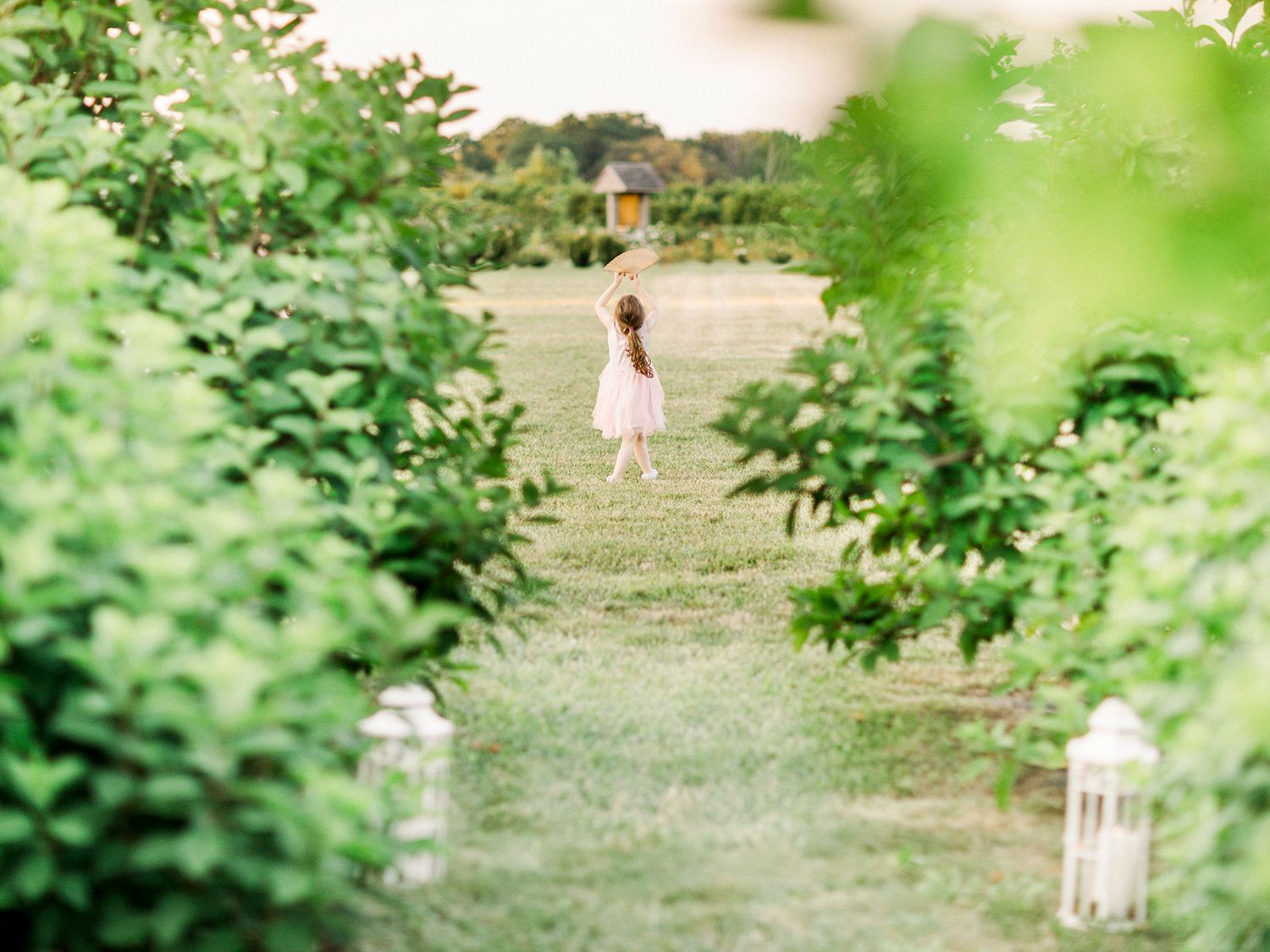 Dreamy garden scene with soft focus foliage framing a path.