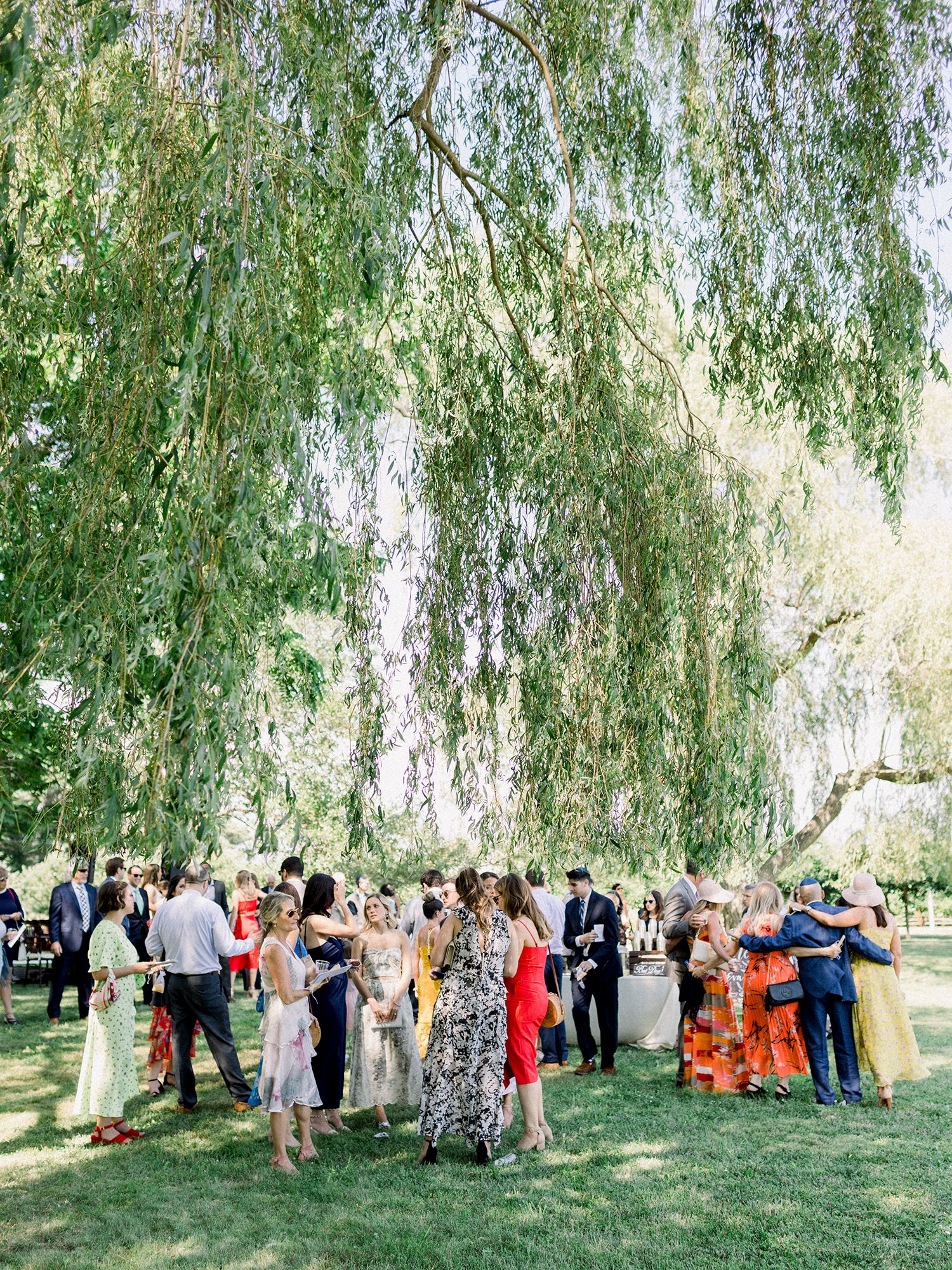 Wedding guests gathered under weeping willow trees during outdoor celebration.