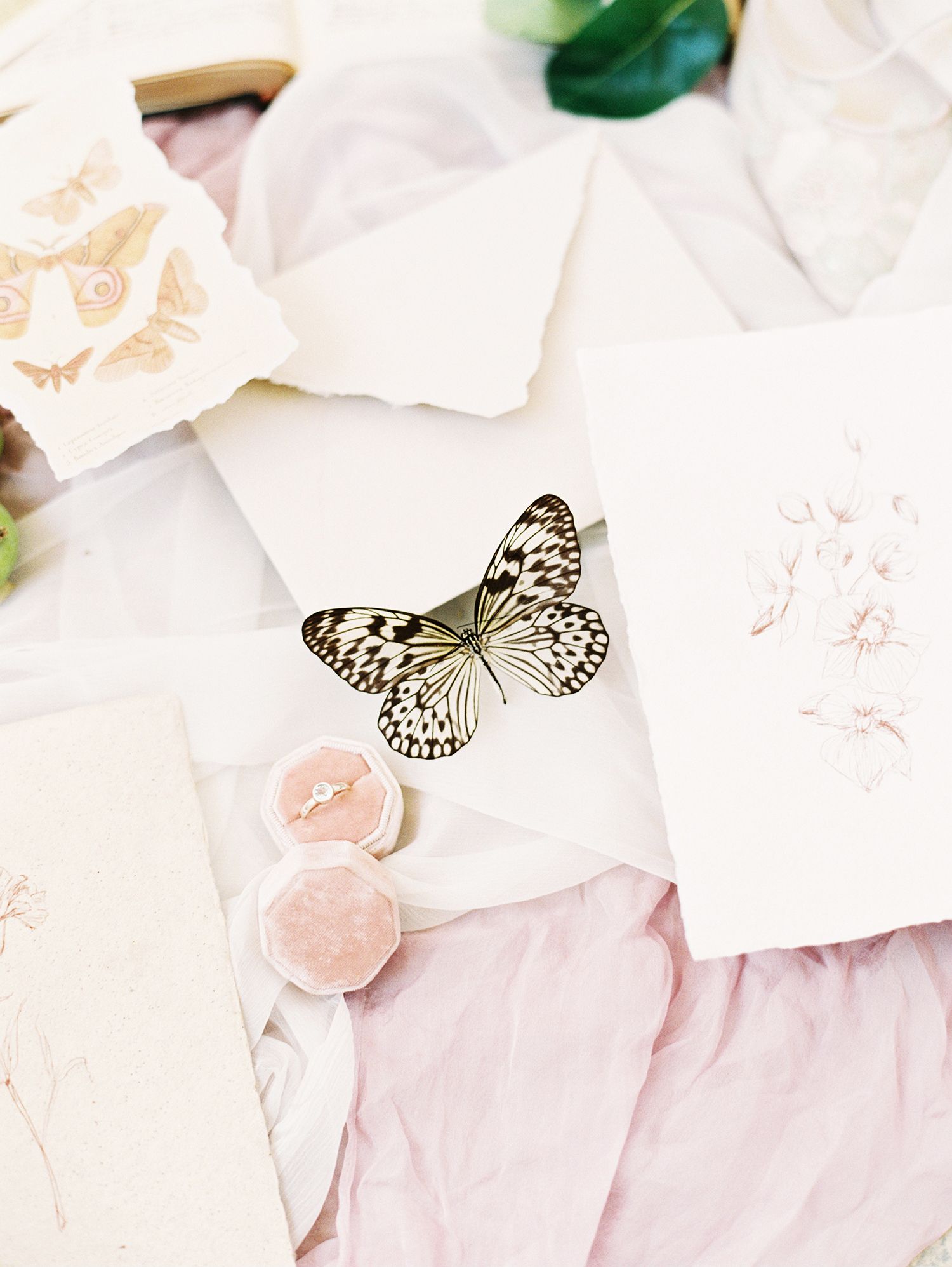 Elegant wedding stationery with butterfly details in soft pink and white tones.
