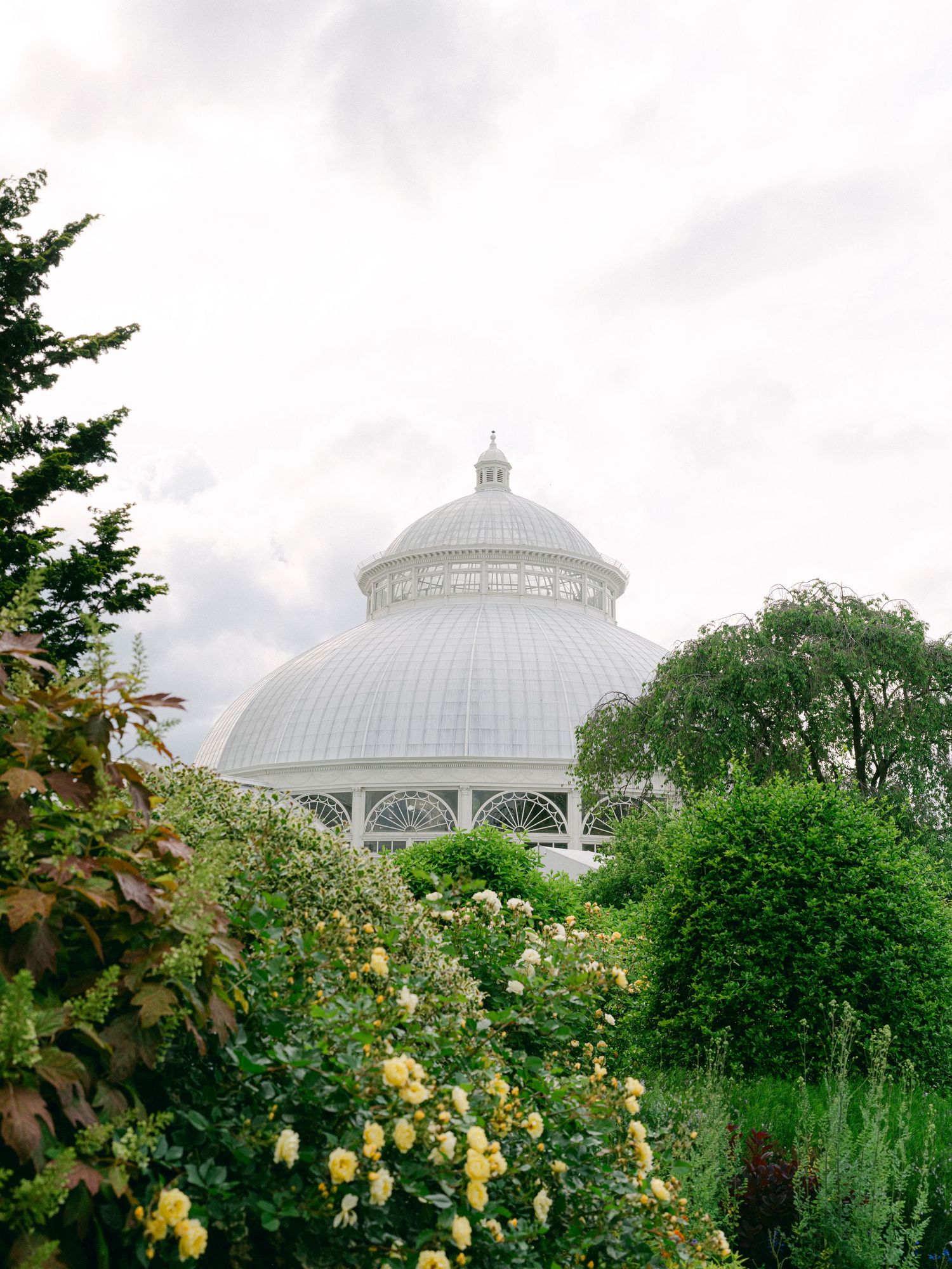 Elegant glass conservatory dome structure surrounded by blooming yellow flowers and trees.