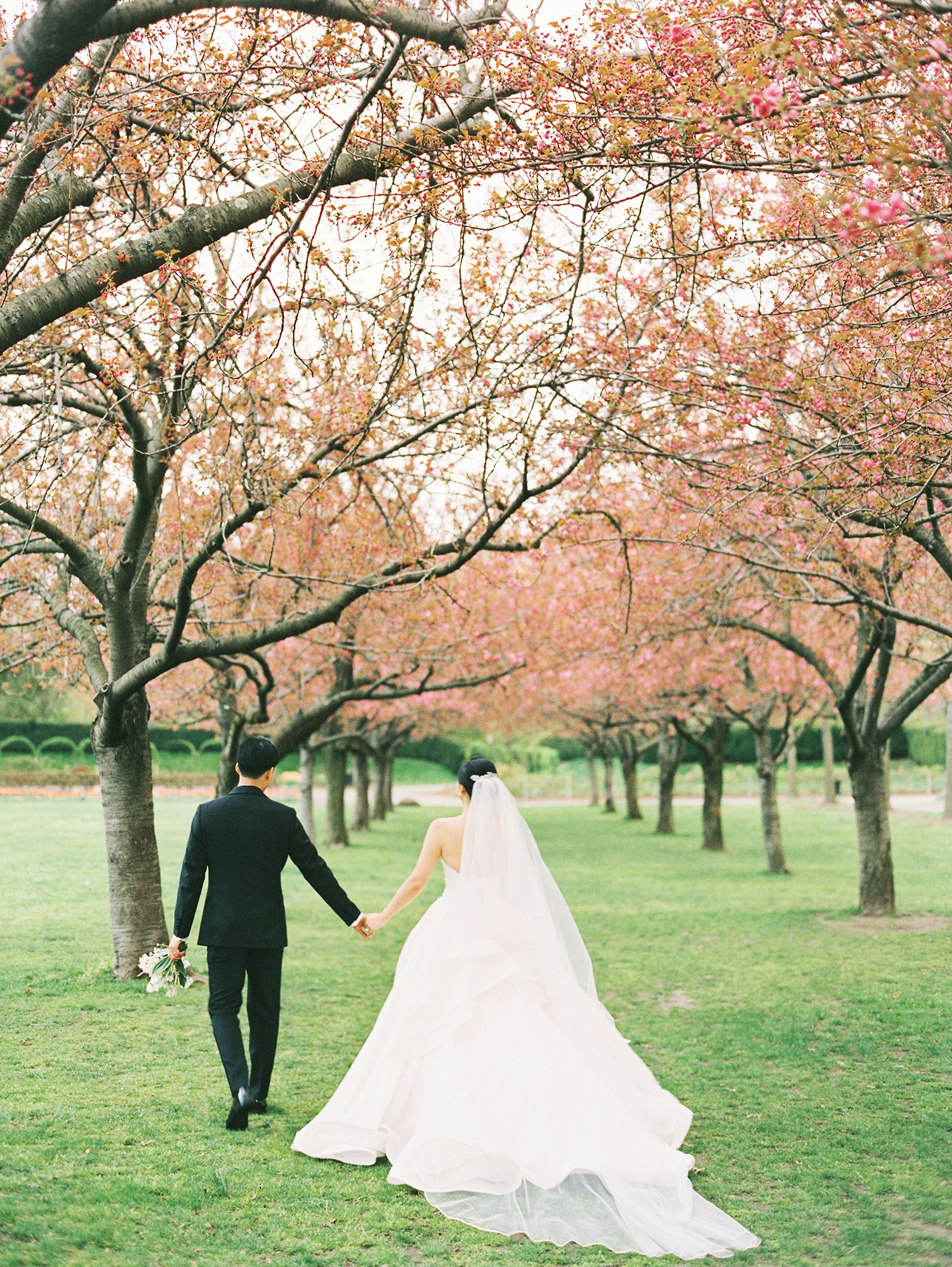 Cherry blossom trees create a romantic backdrop for a springtime wedding photoshoot. NYC wedding photographer.